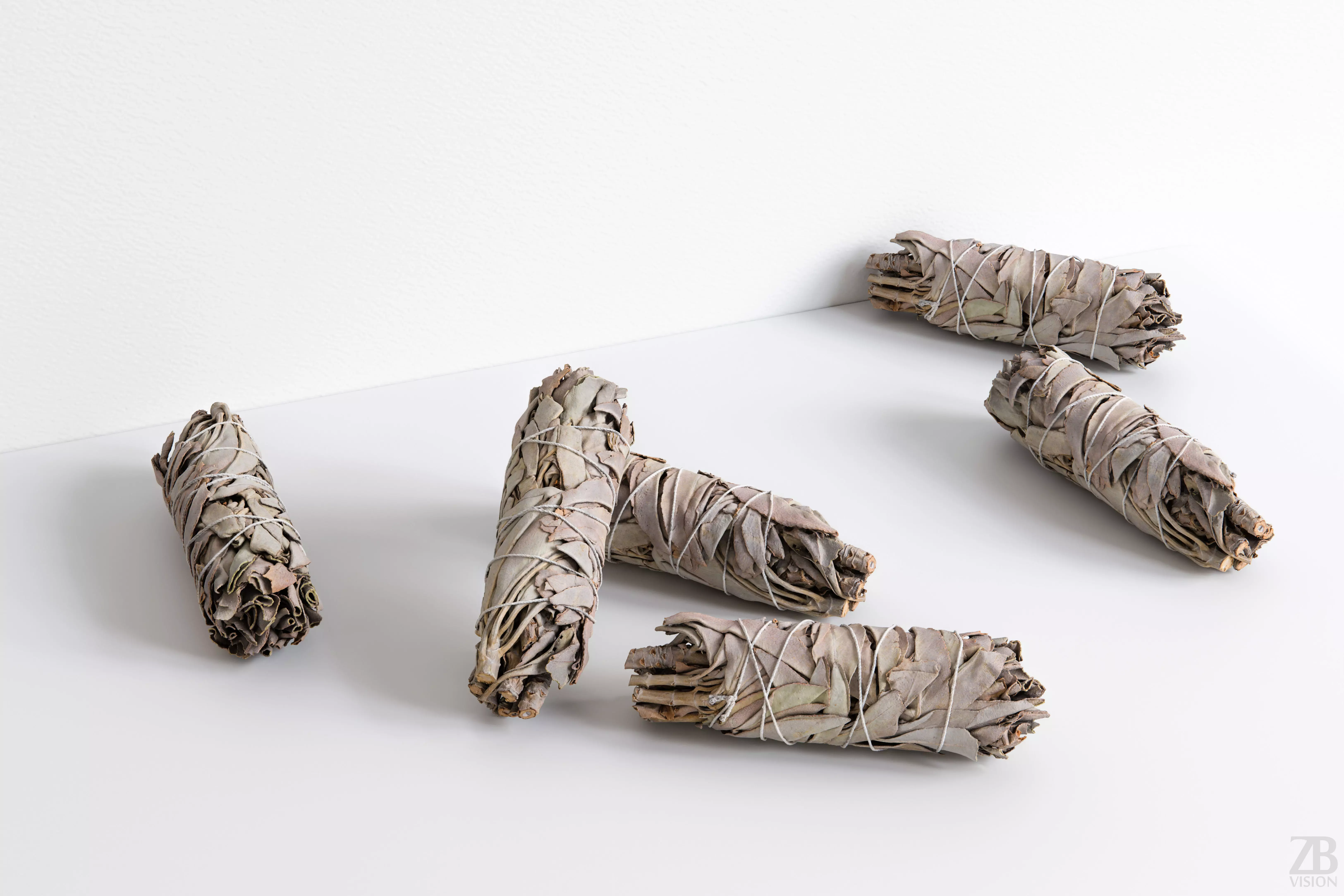 Sage Bundle 3D model_0