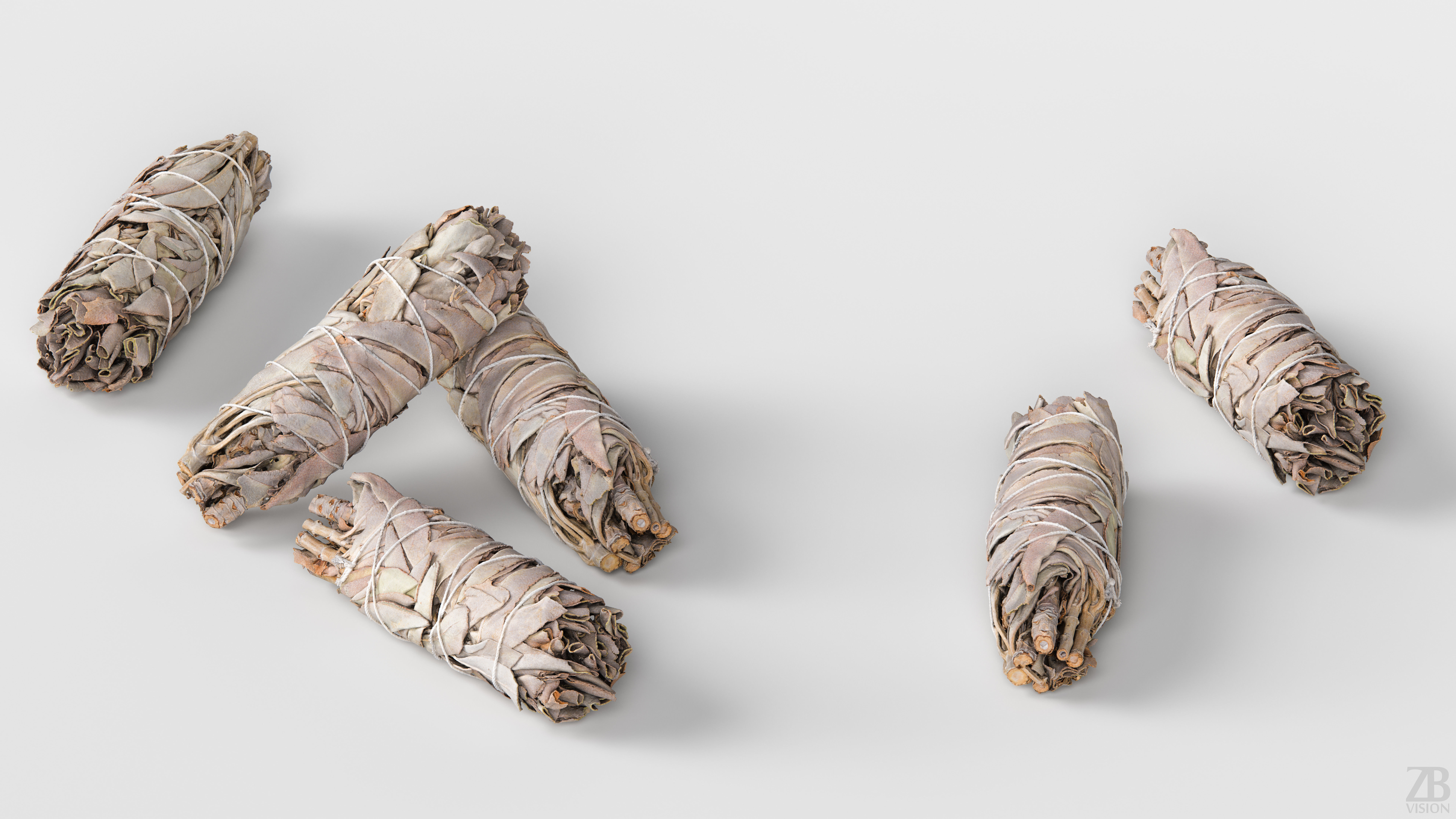 Sage Bundle 3D model_2