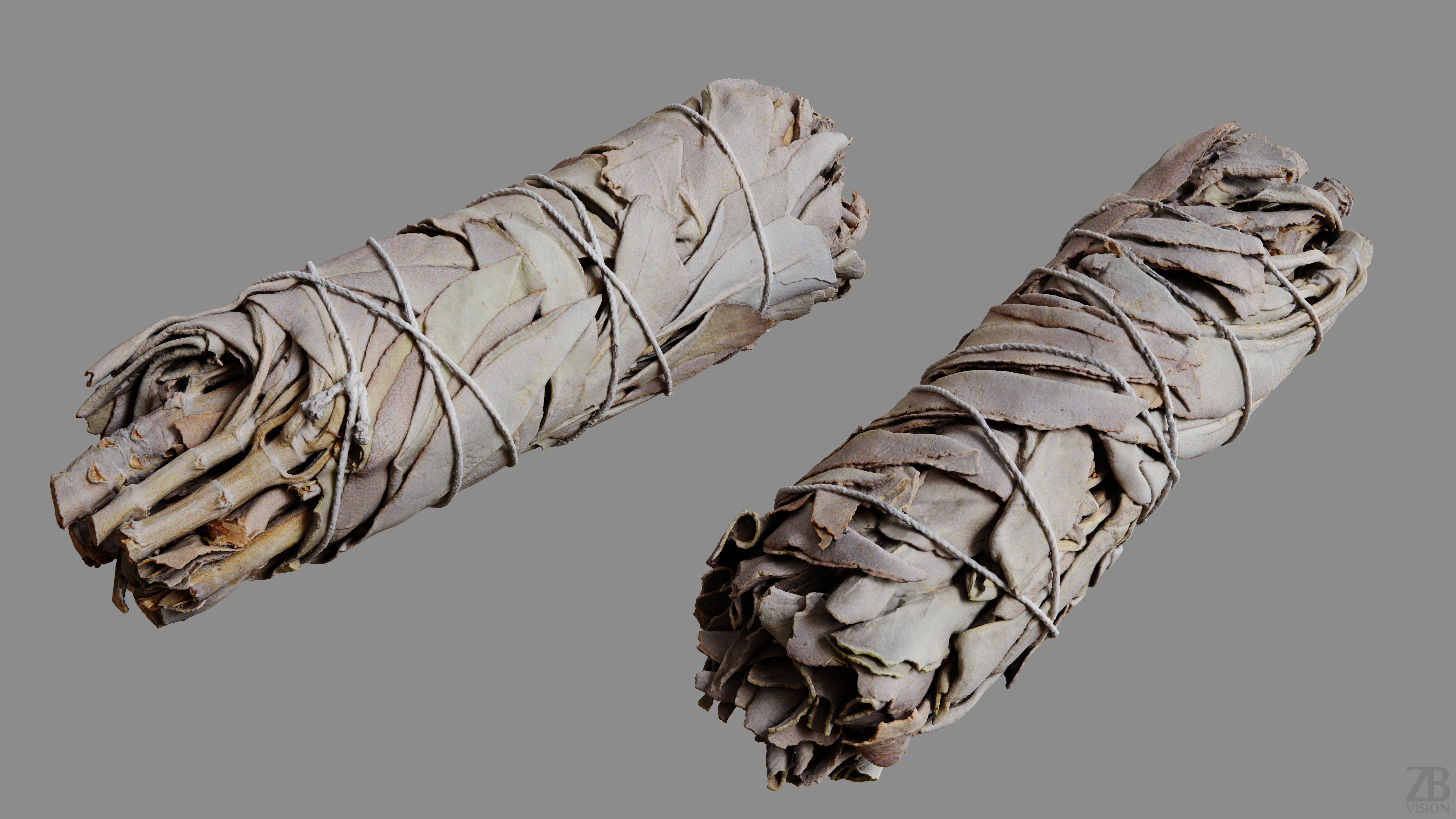 Sage Bundle 3D model_9