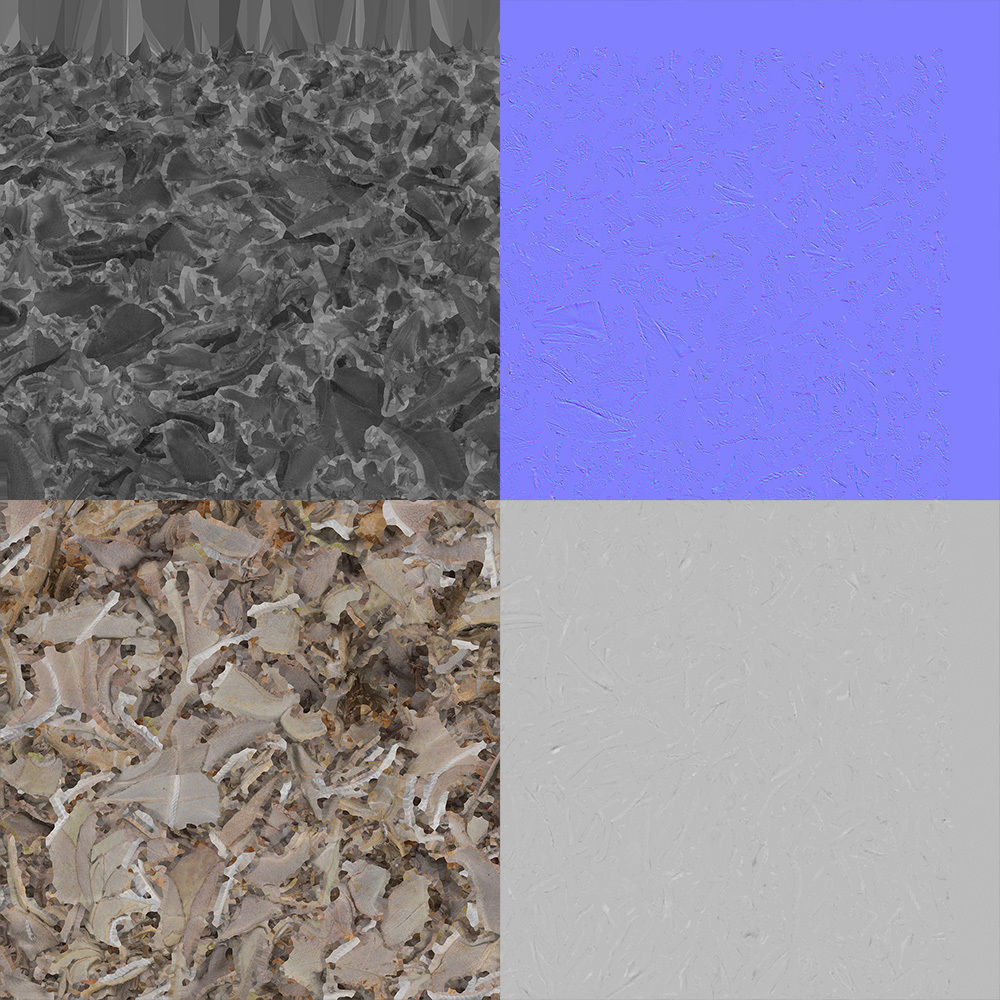 Sage Bundle 3D model_8