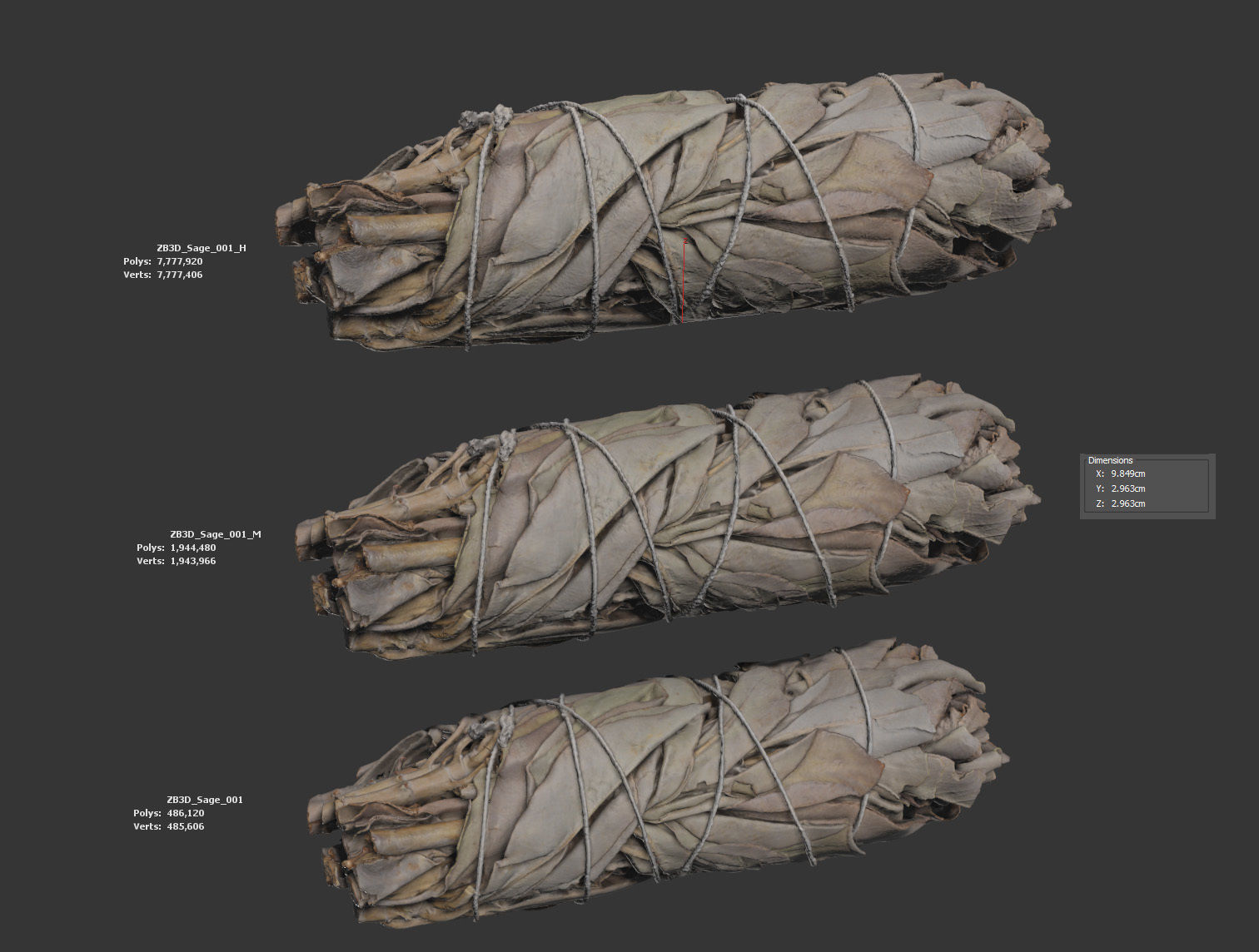 Sage Bundle 3D model_5