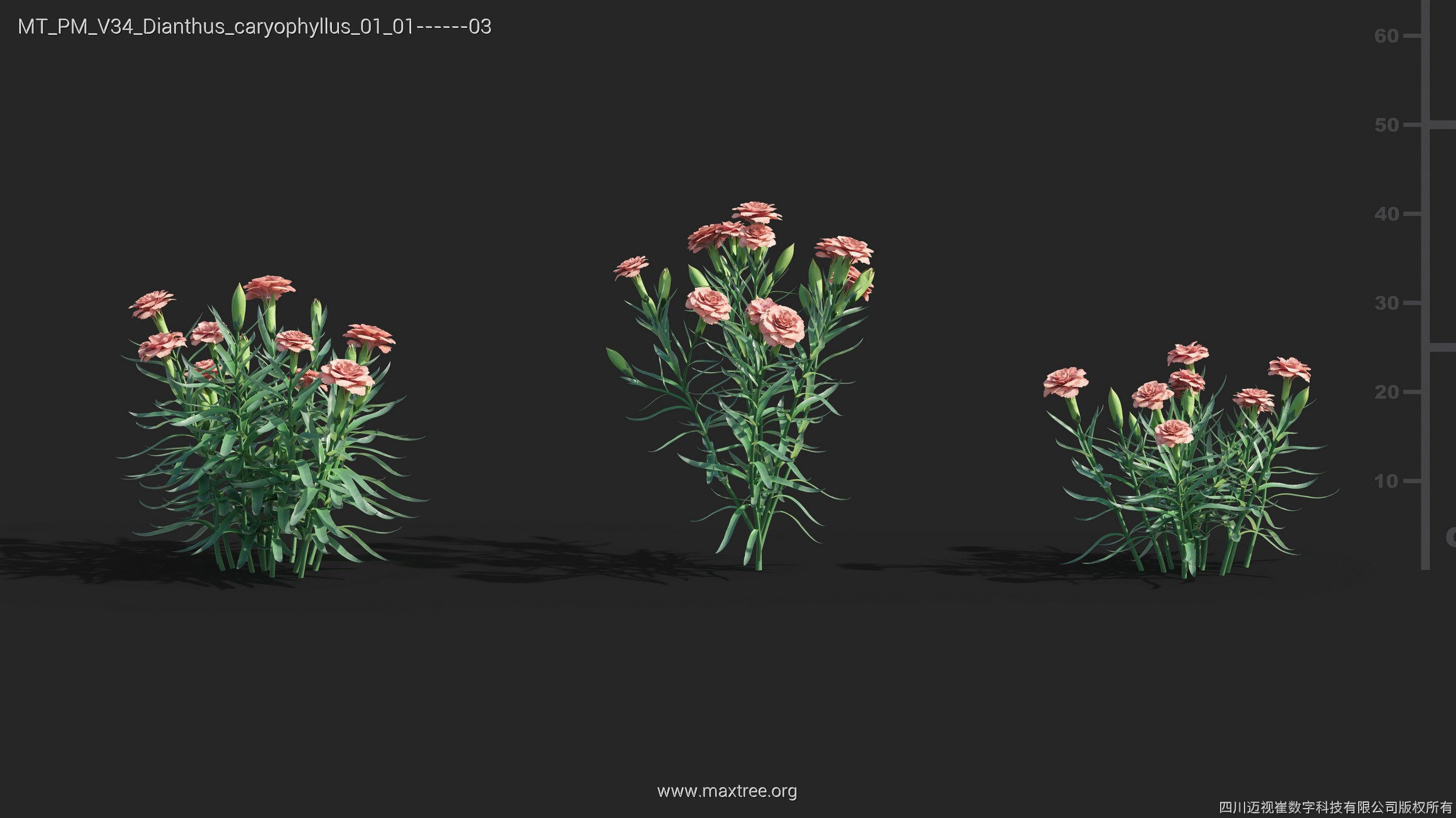 Maxtree Plant Models Vol 34 - Mesh 3D model_8