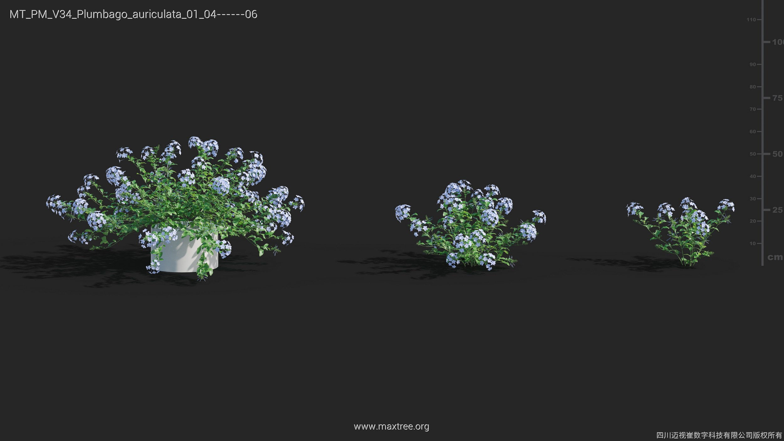 Maxtree Plant Models Vol 34 - Mesh 3D model_23