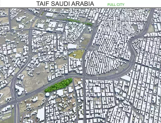Taif Saudi Arabia 50km