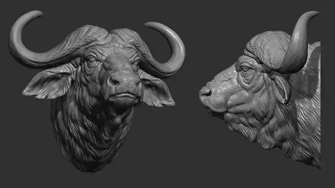 Buffalo shaggy head 3D print model