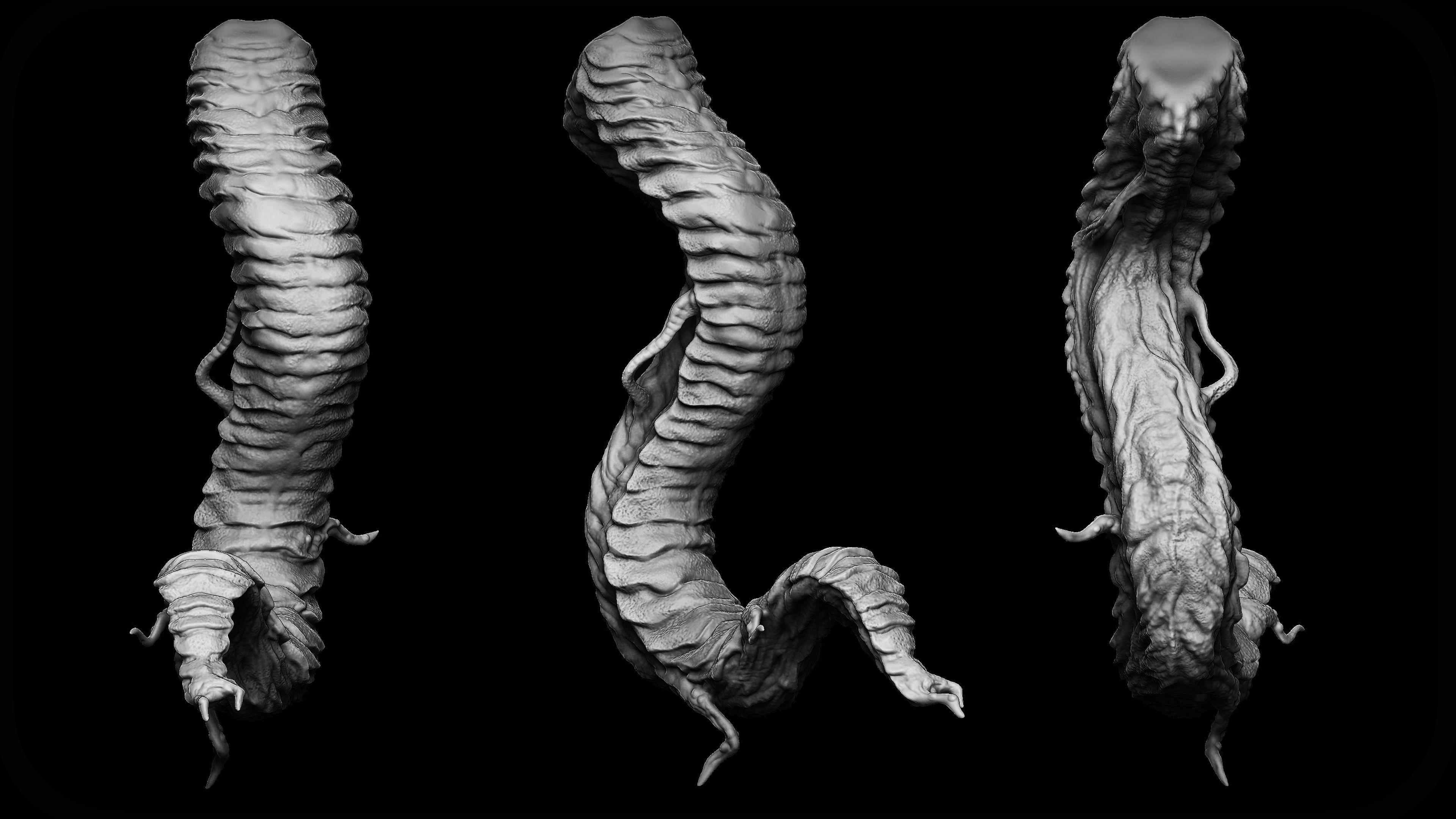 20 Tongues IMM Brush and OBJ 3D model_17