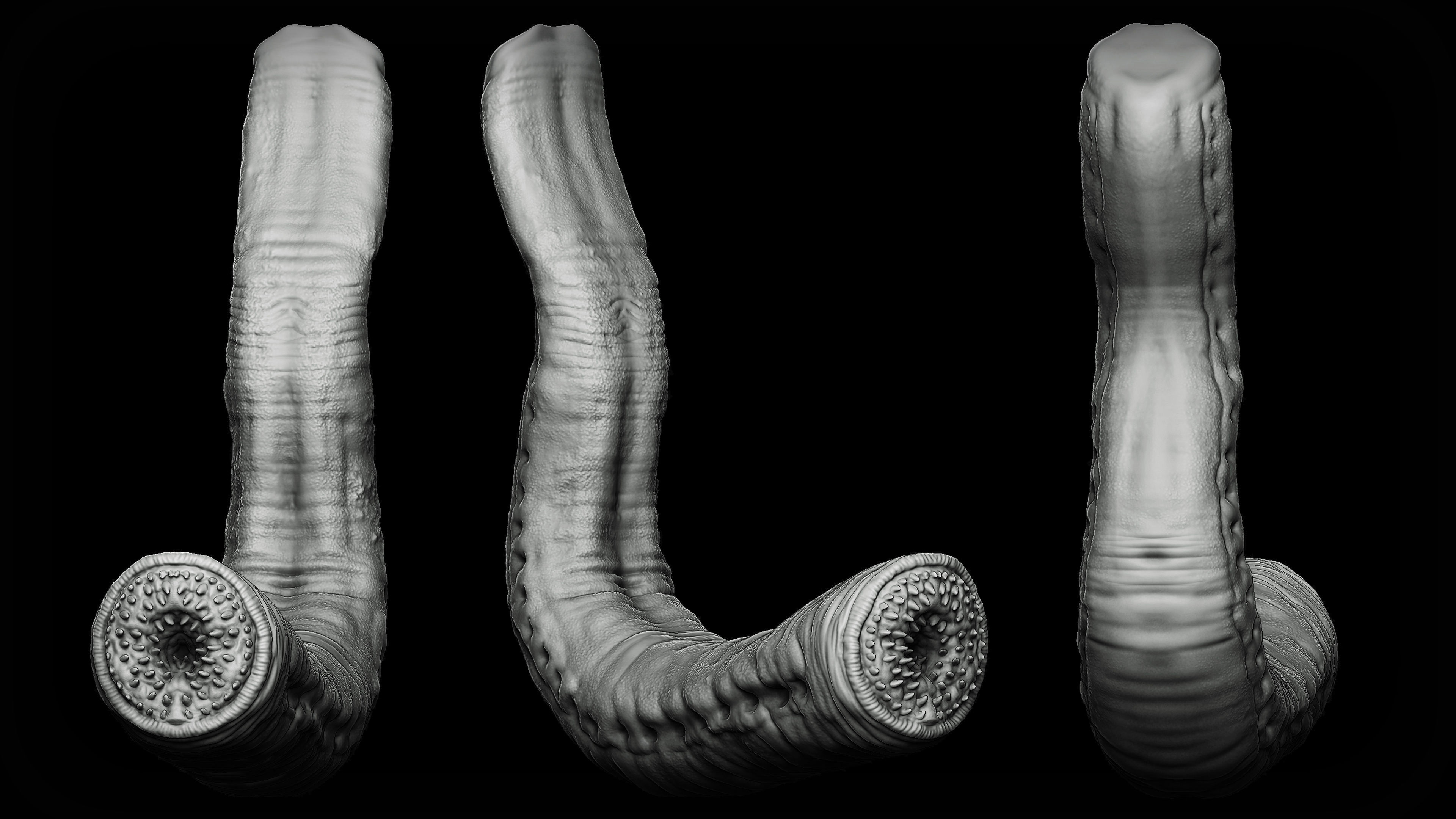 20 Tongues IMM Brush and OBJ 3D model_16