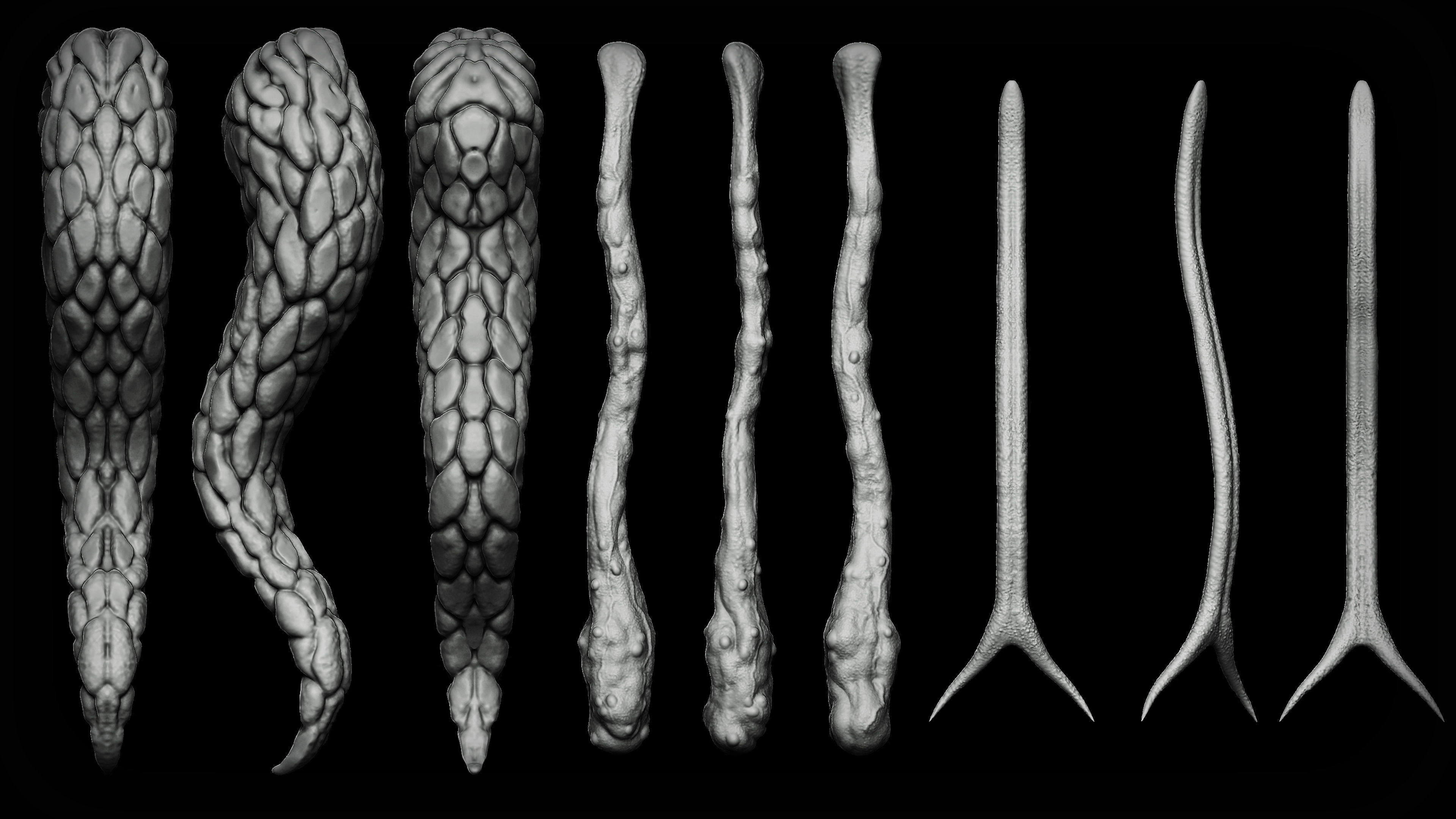 20 Tongues IMM Brush and OBJ 3D model_19