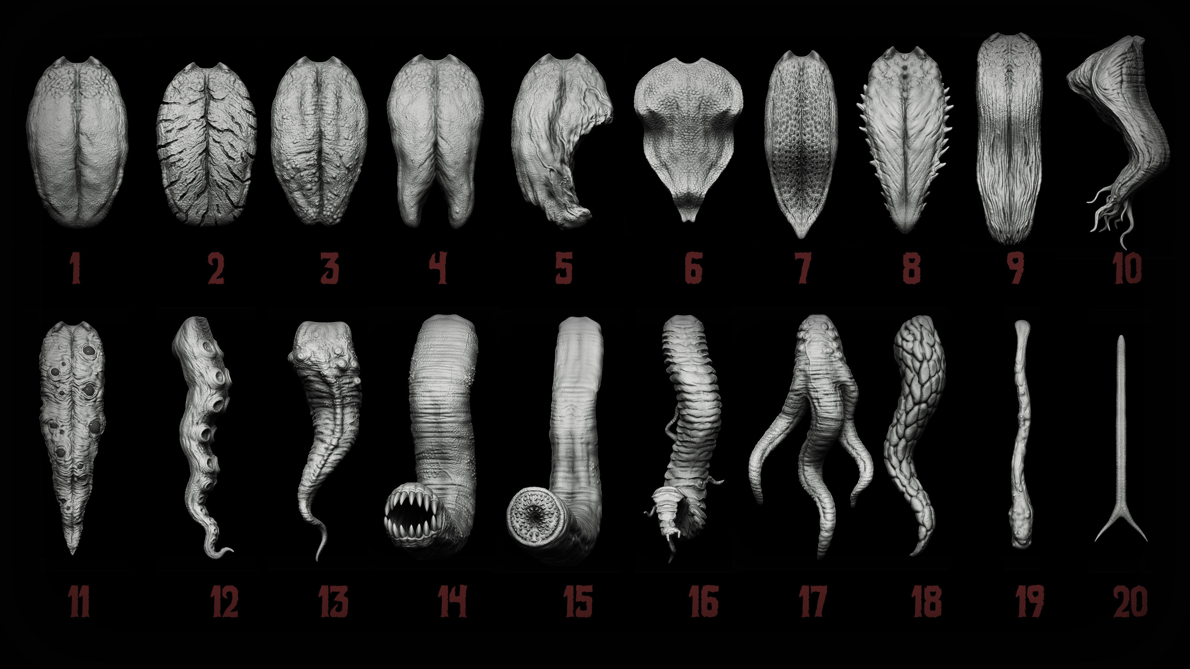 20 Tongues IMM Brush and OBJ 3D model_1