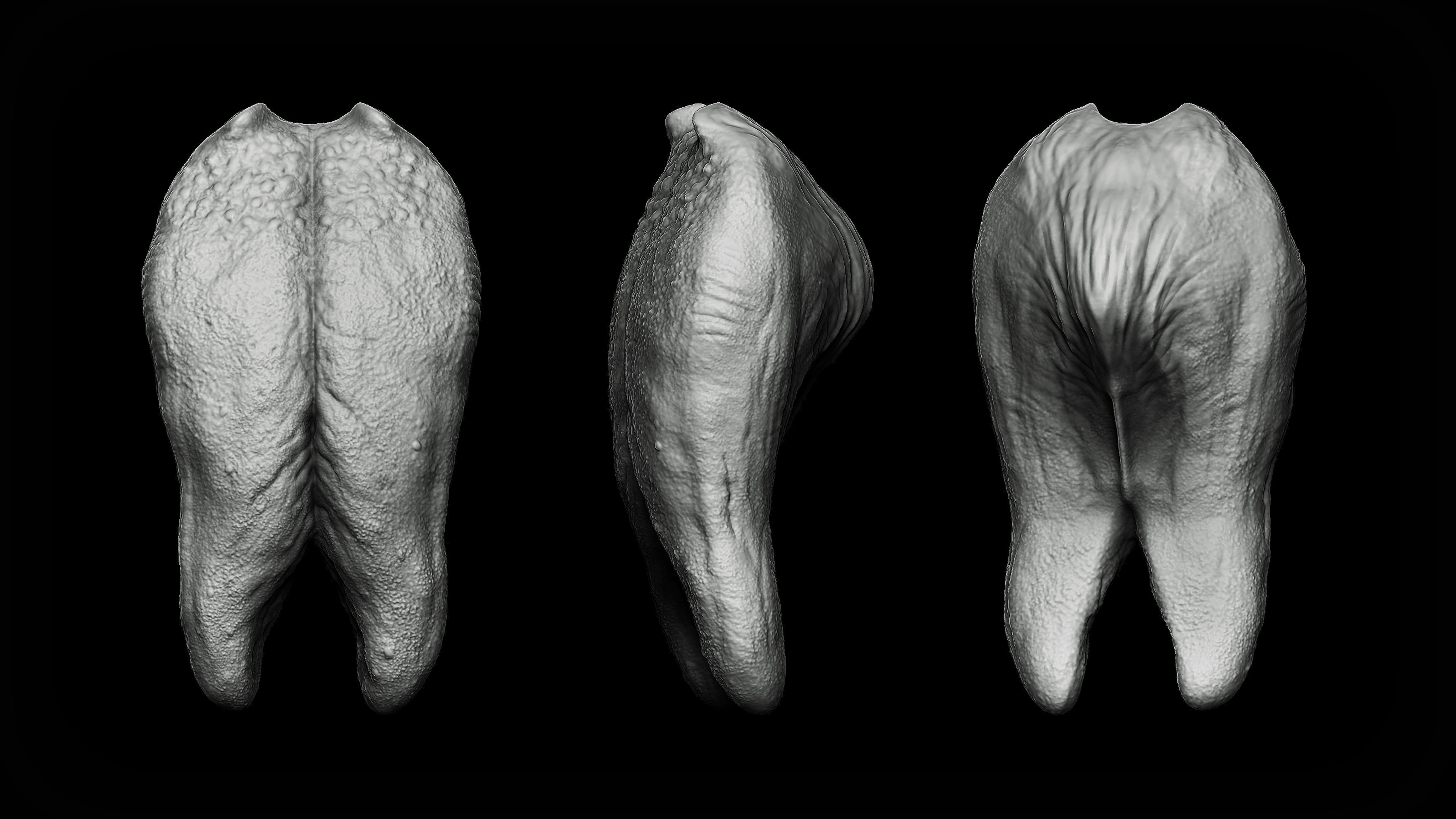 20 Tongues IMM Brush and OBJ 3D model_5