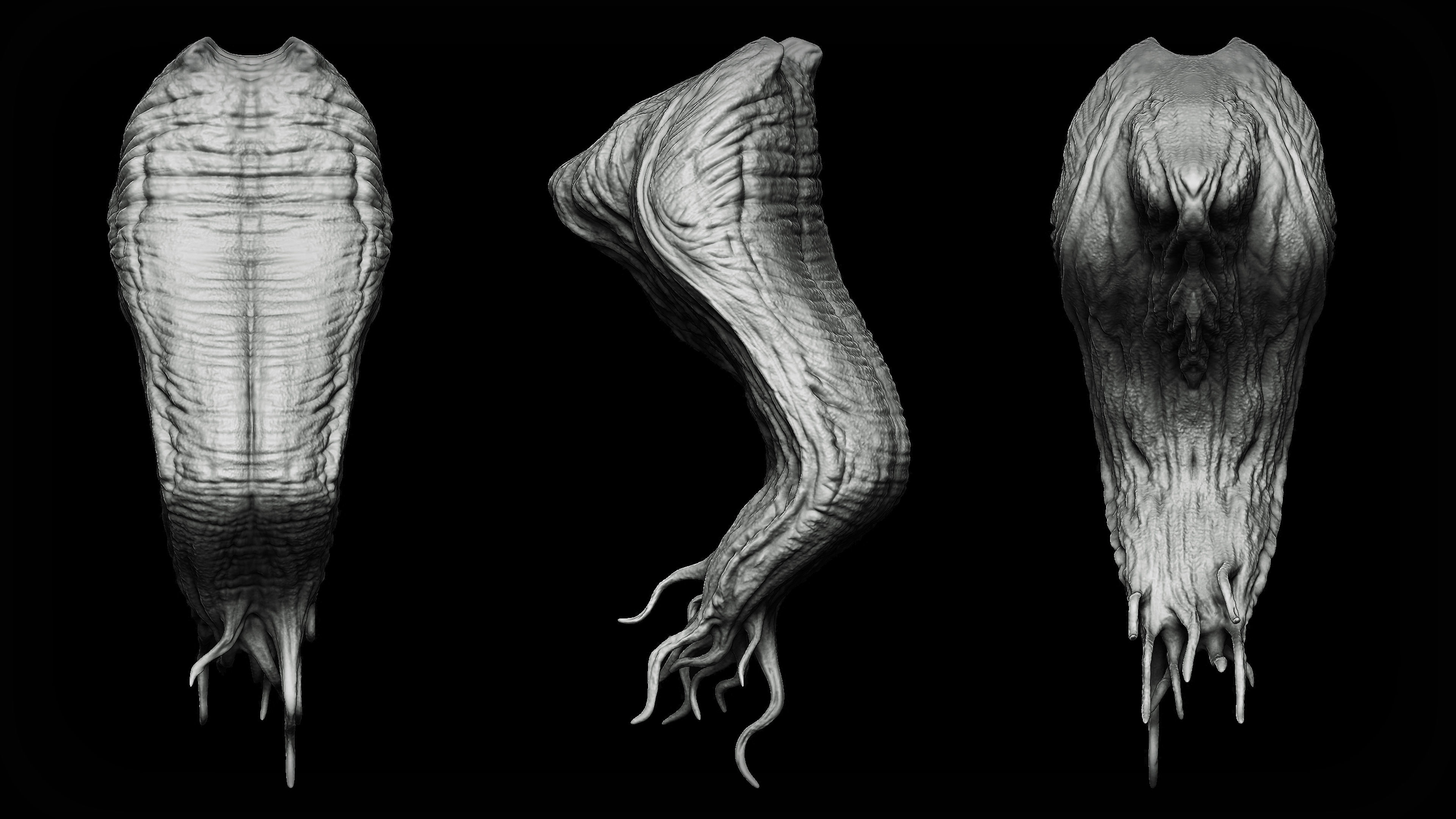 20 Tongues IMM Brush and OBJ 3D model_11