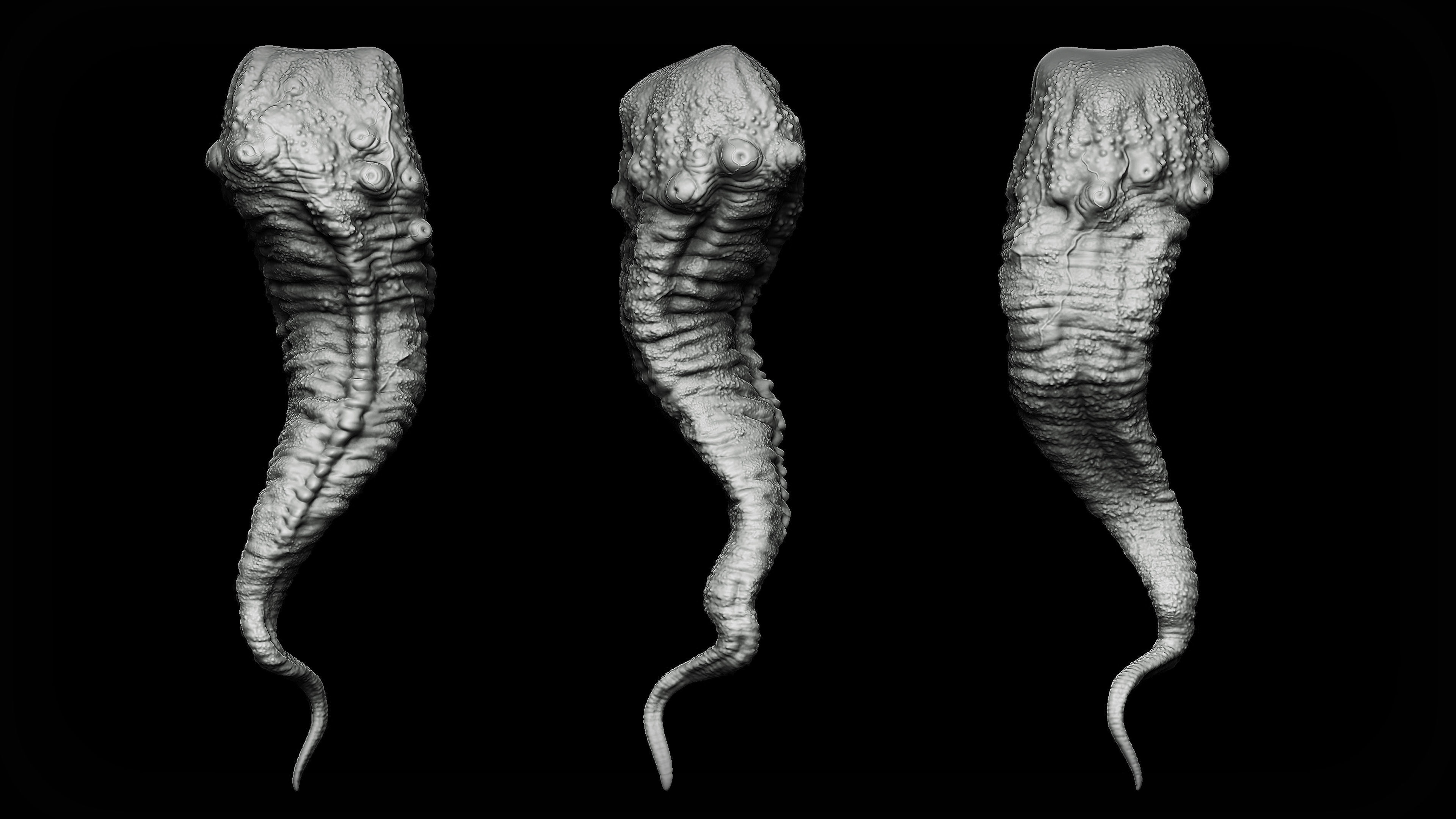 20 Tongues IMM Brush and OBJ 3D model_14