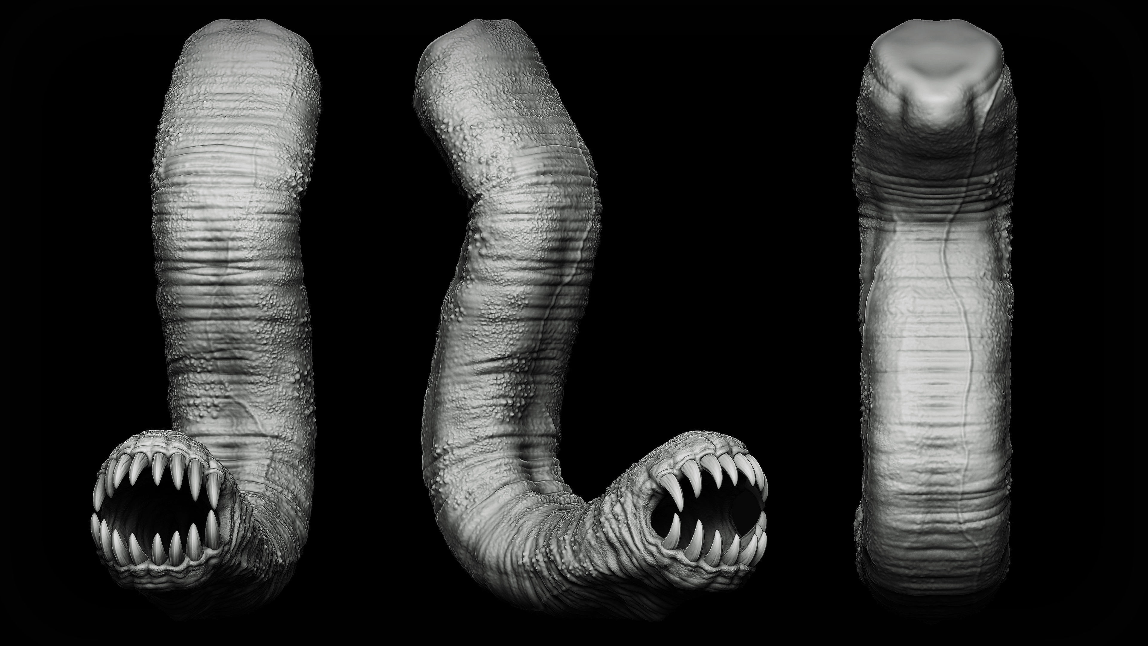 20 Tongues IMM Brush and OBJ 3D model_15