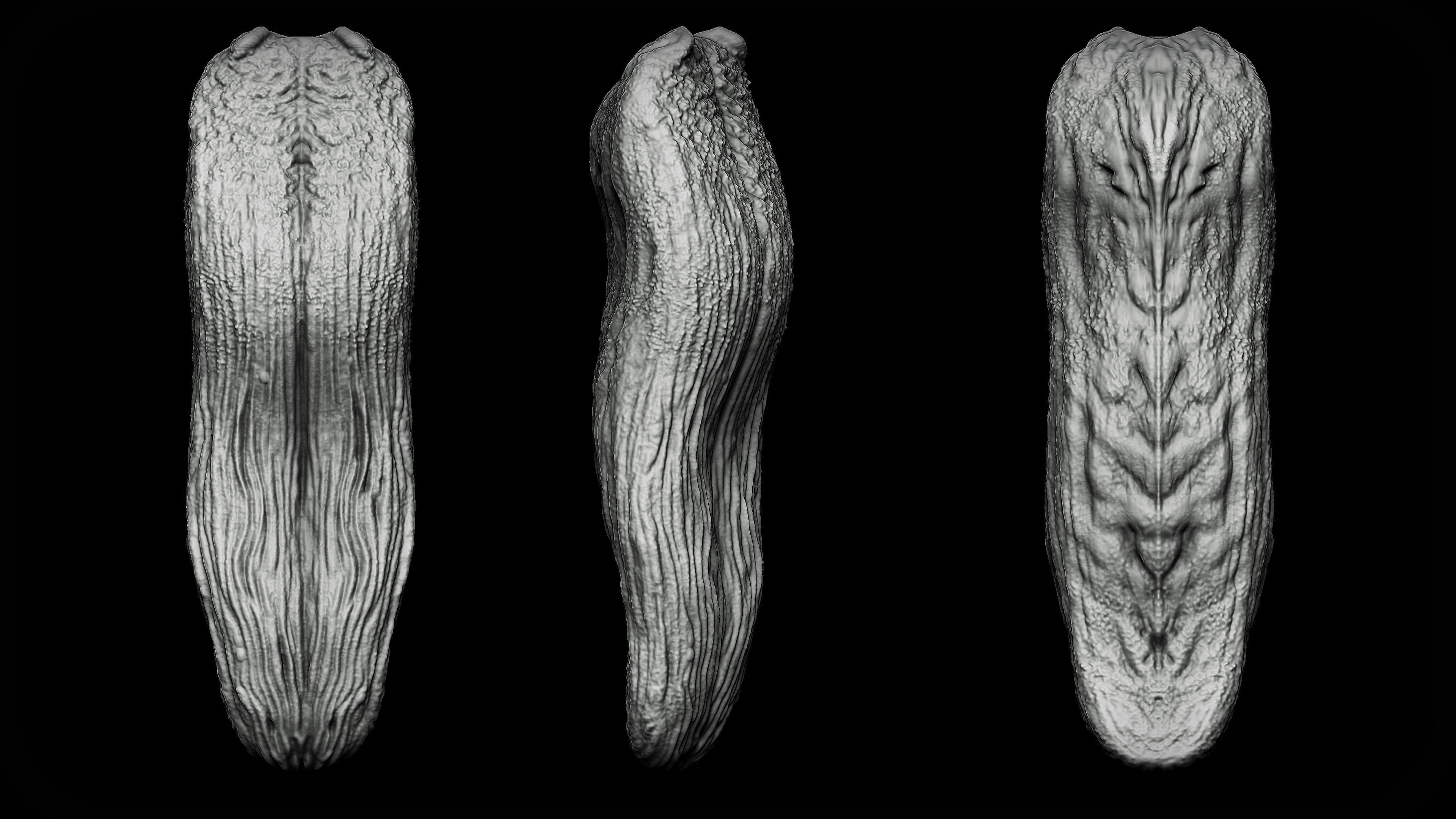 20 Tongues IMM Brush and OBJ 3D model_10