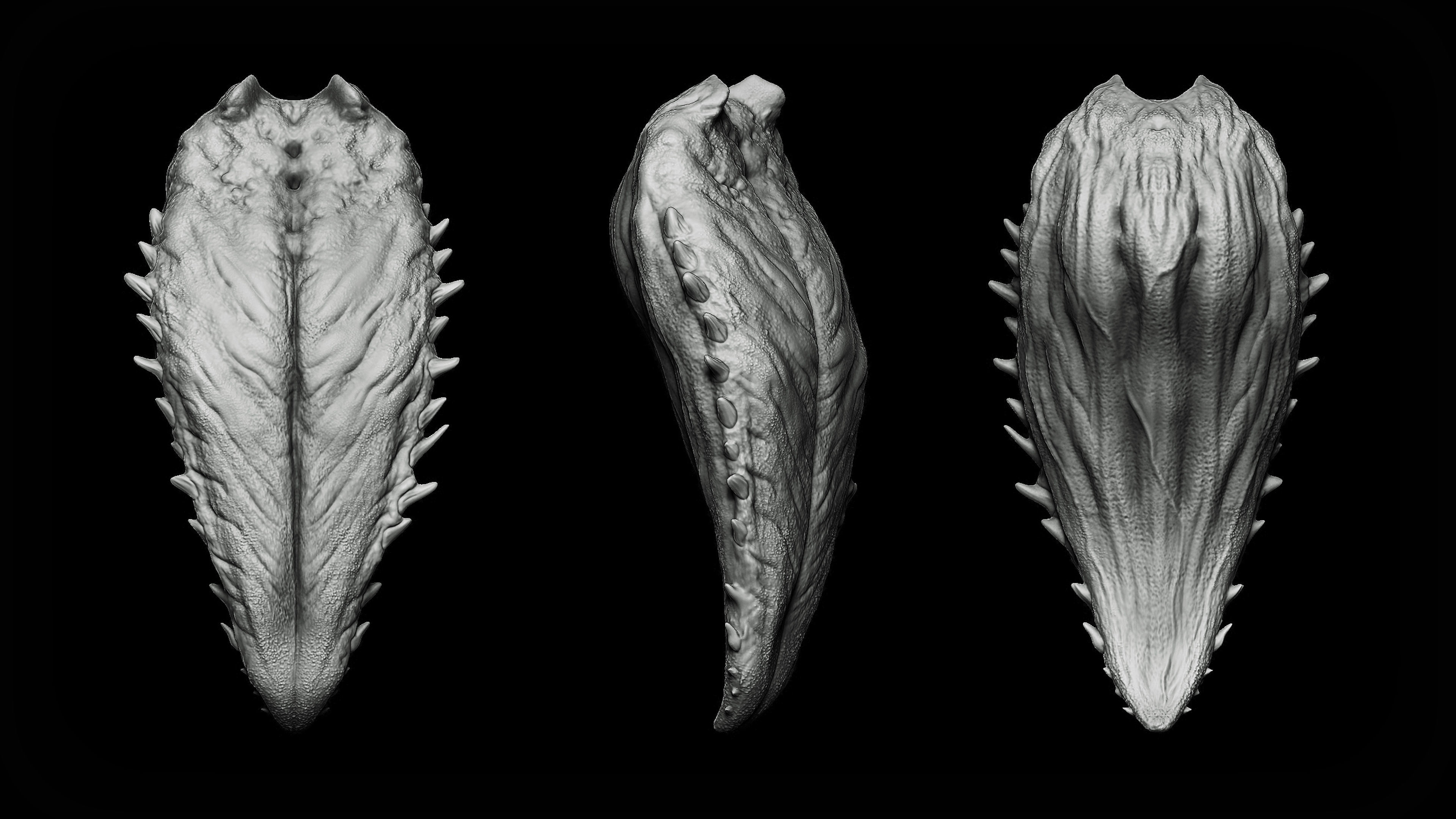 20 Tongues IMM Brush and OBJ 3D model_9