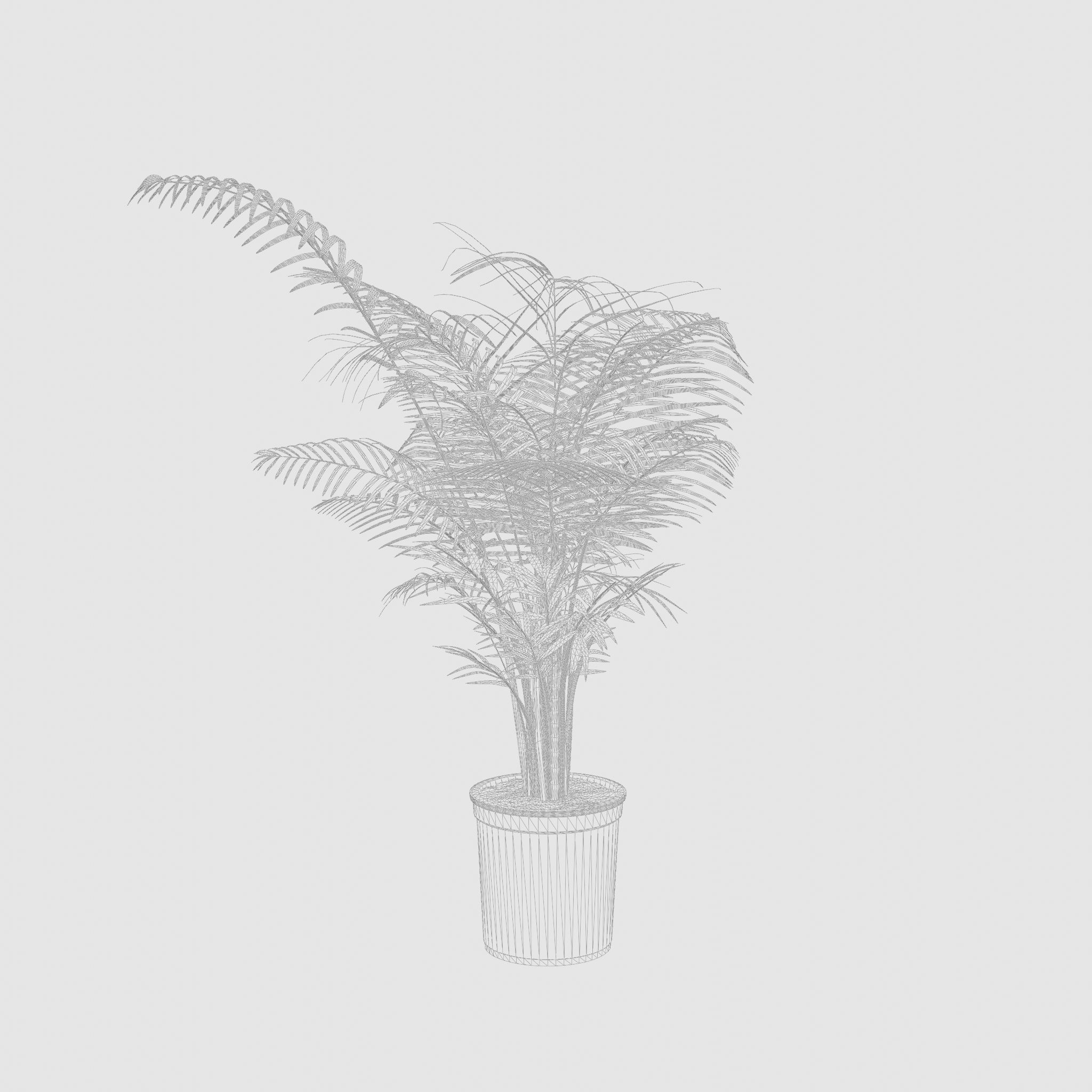 Areca Palm Houseplant 3D Model Low-poly 3D model_6