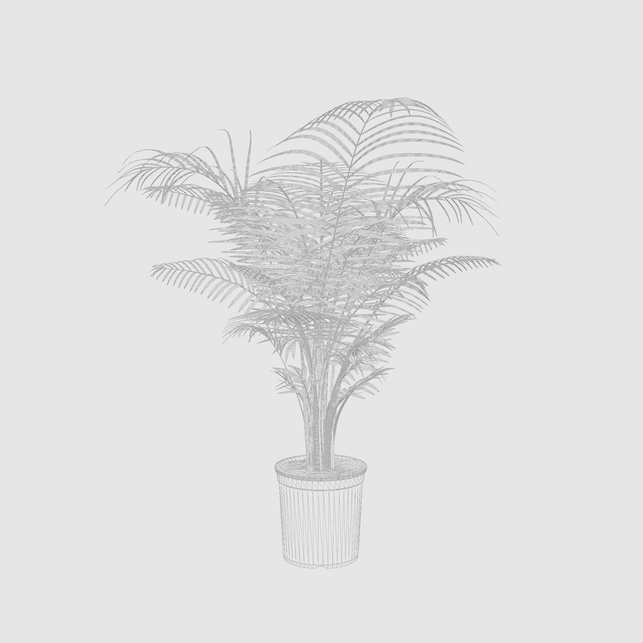 Areca Palm Houseplant 3D Model Low-poly 3D model_7