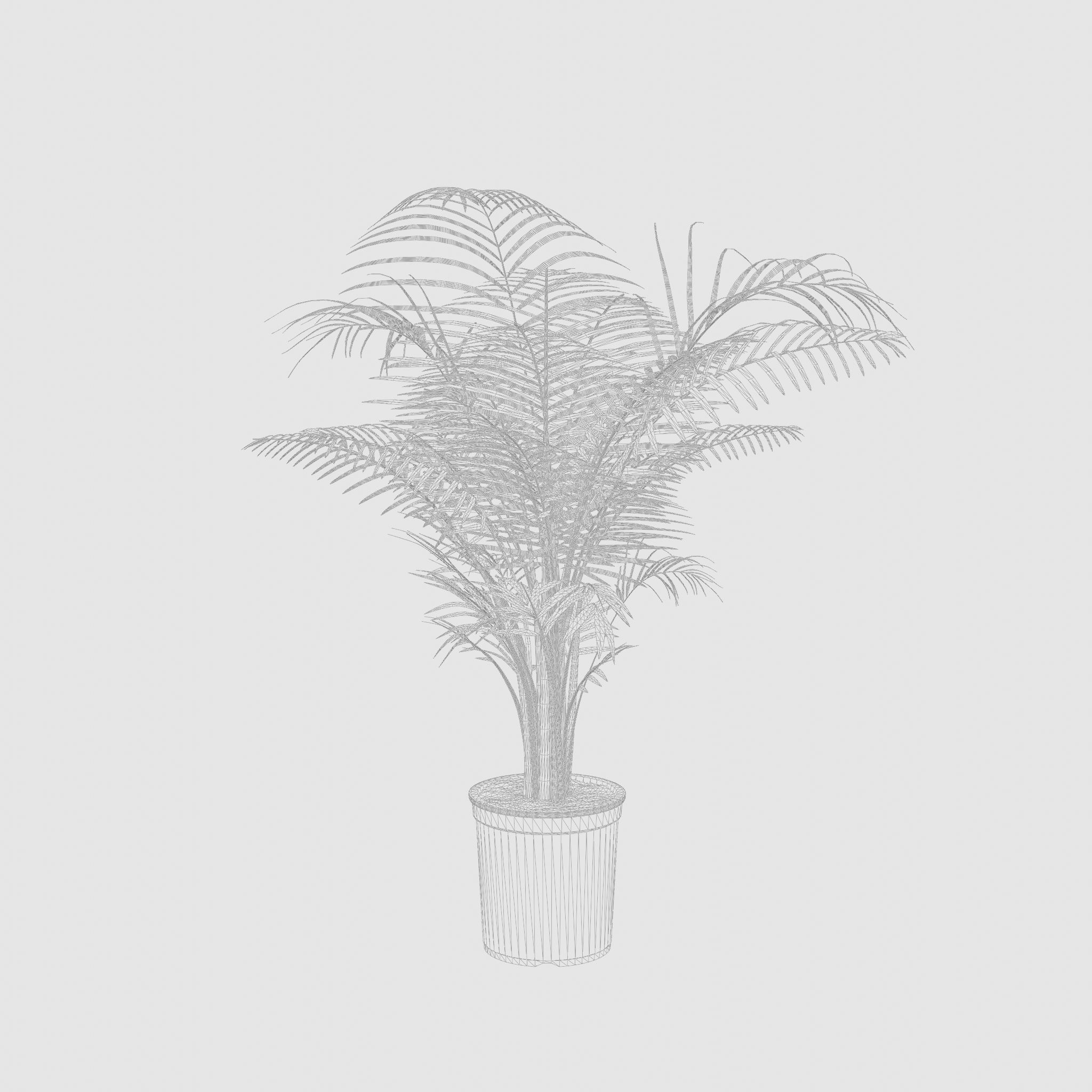 Areca Palm Houseplant 3D Model Low-poly 3D model_4