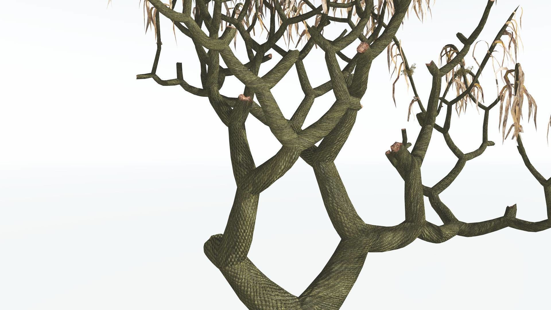EVERYPlant Lepidodendron Scale Tree 1 14 Models 3D model CGTrader