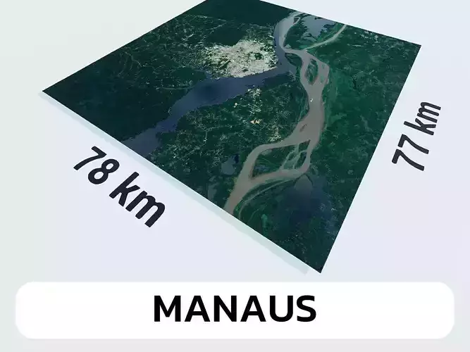 Manaus Brazil City Landscape 3D Model