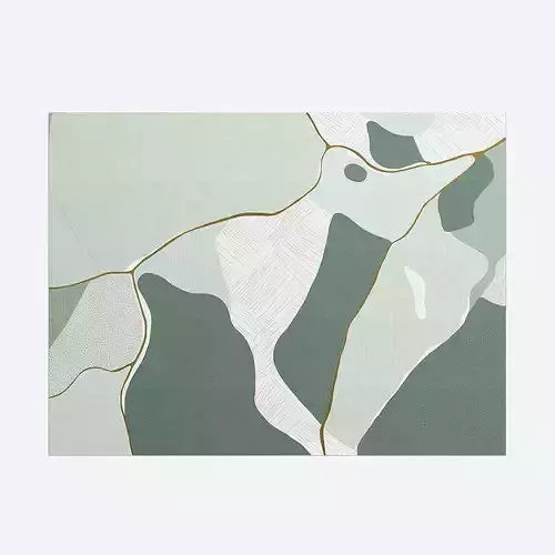 Carpet Birds Eye View