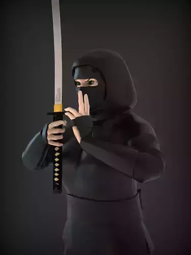 Ninja With Katana