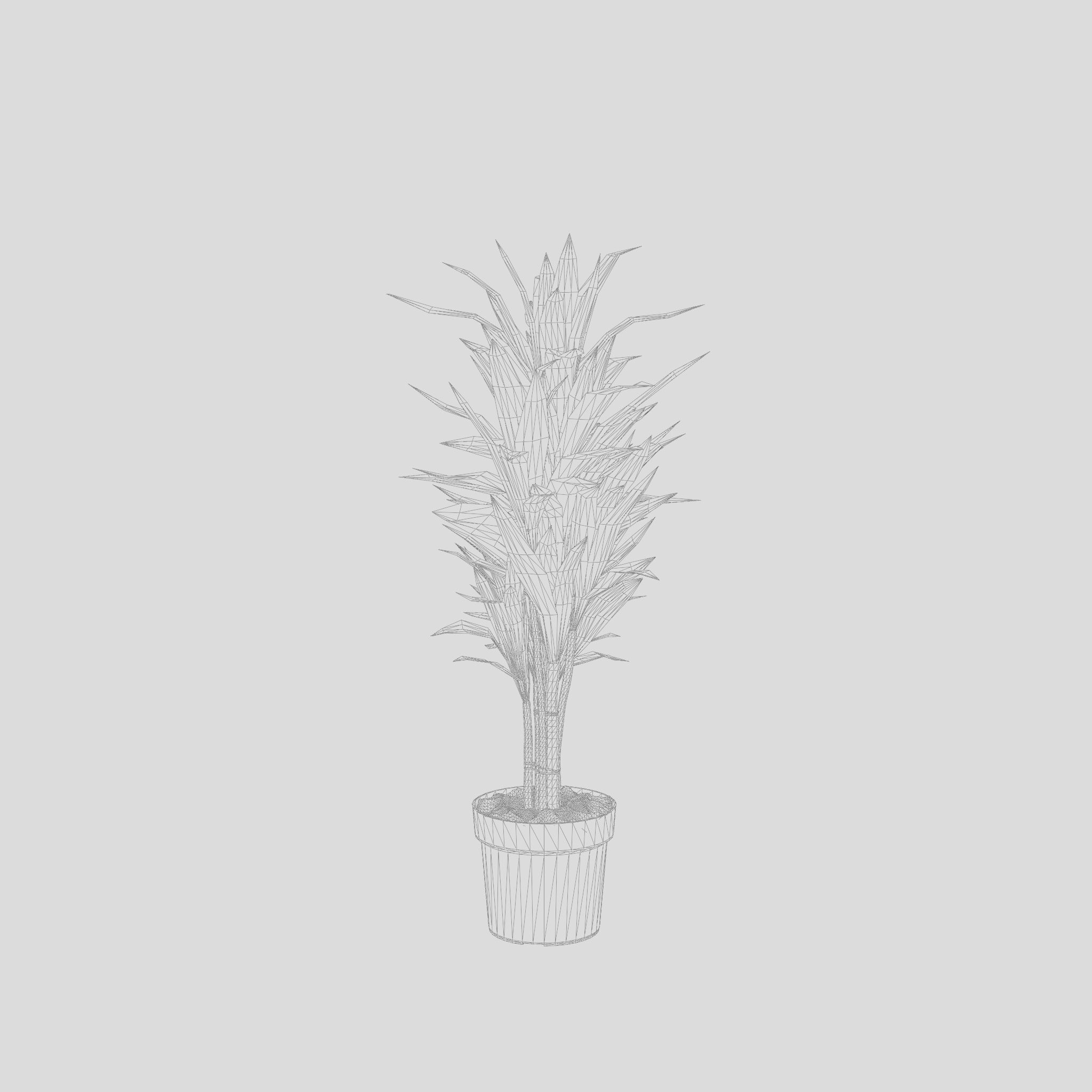 Dracaena Janet Lind Houseplant 3D Model Low-poly 3D model_5