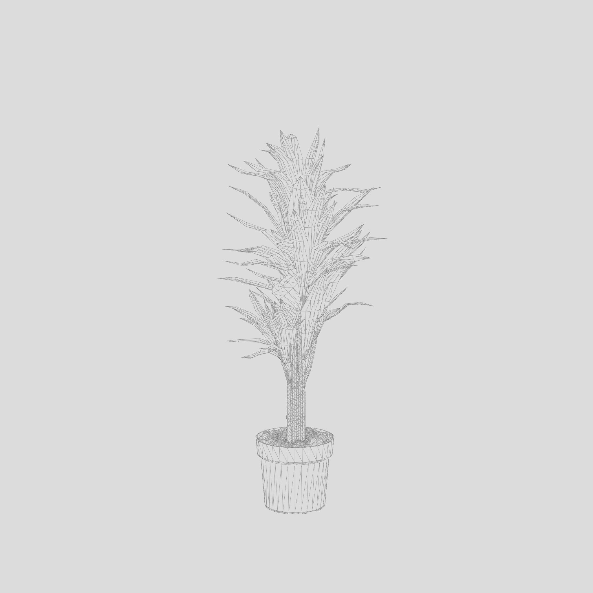 Dracaena Janet Lind Houseplant 3D Model Low-poly 3D model_6