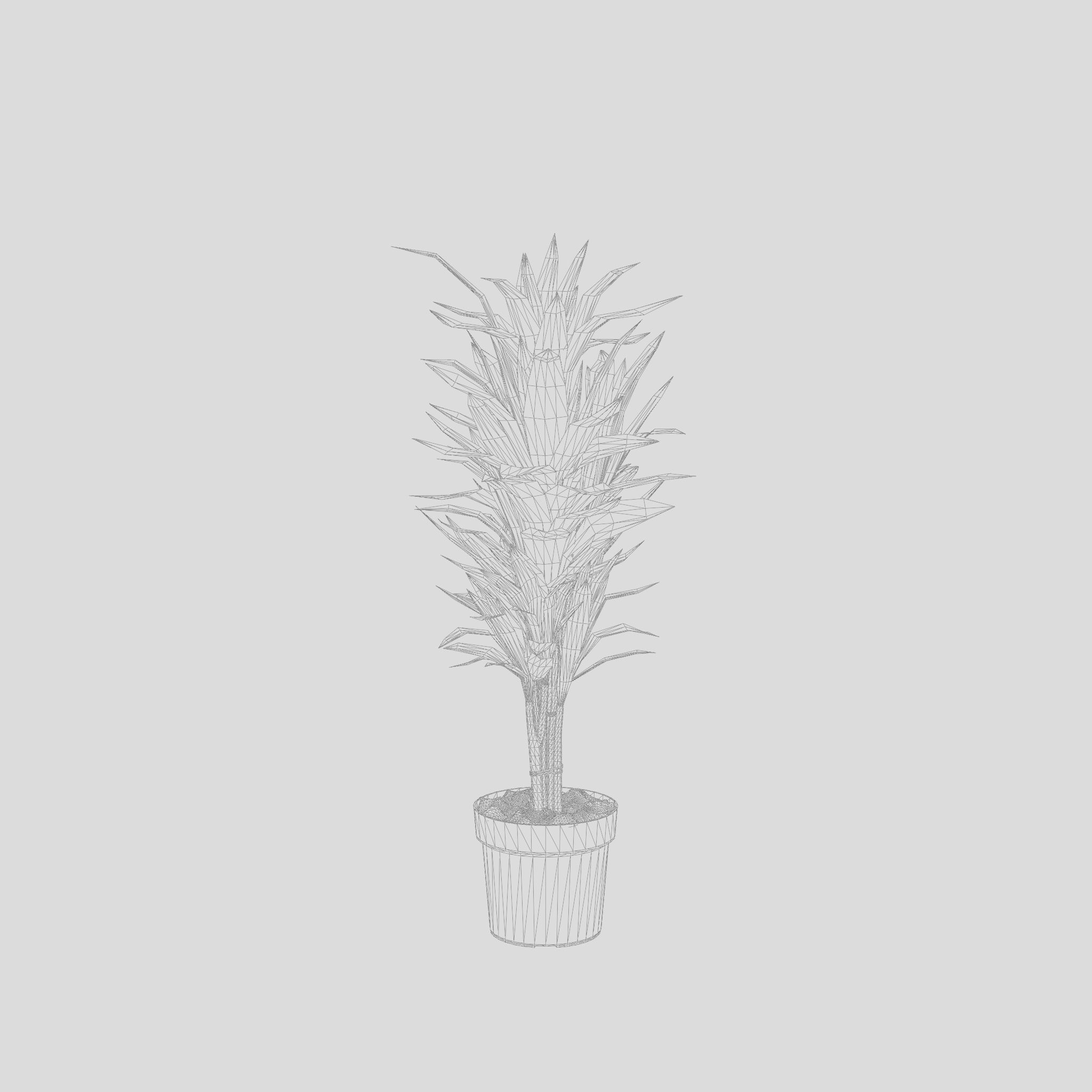 Dracaena Janet Lind Houseplant 3D Model Low-poly 3D model_7