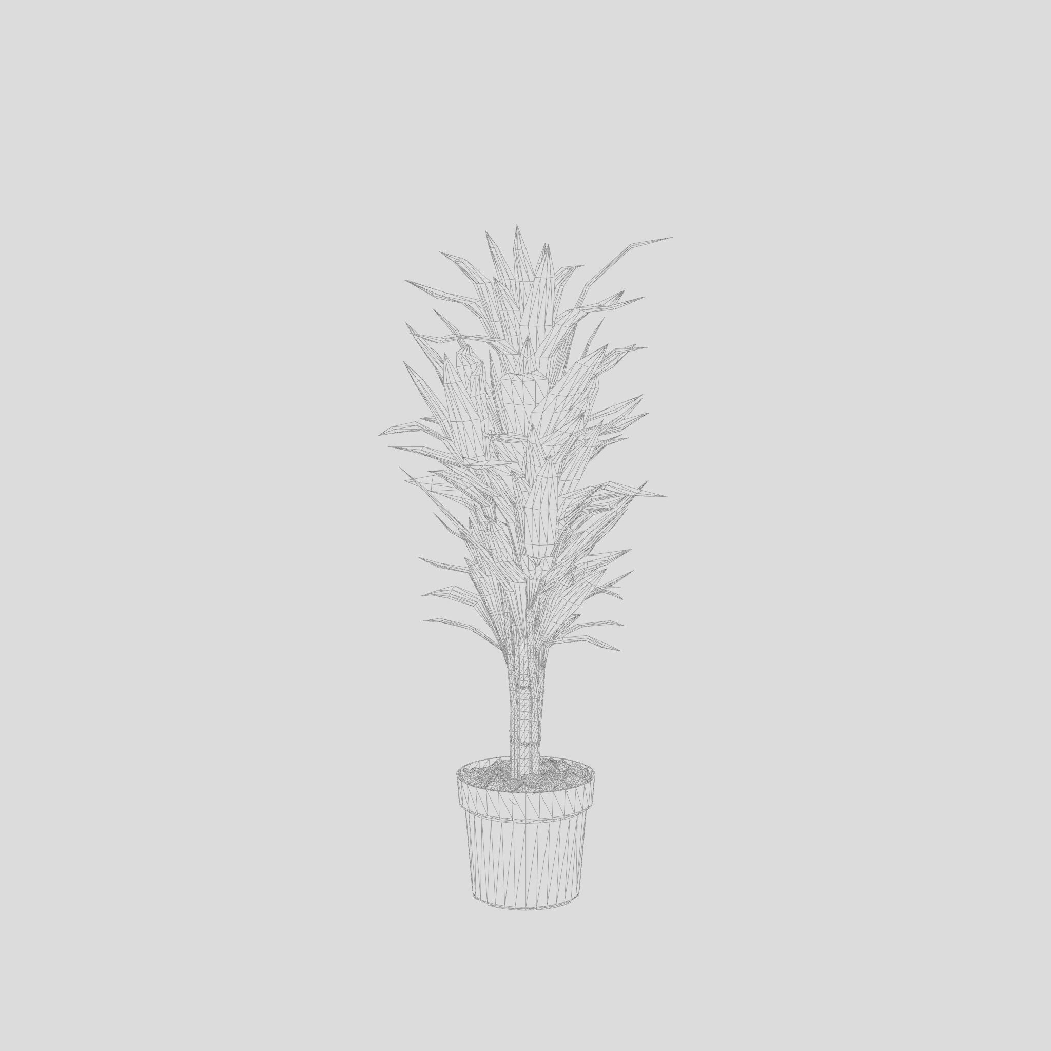 Dracaena Janet Lind Houseplant 3D Model Low-poly 3D model_4