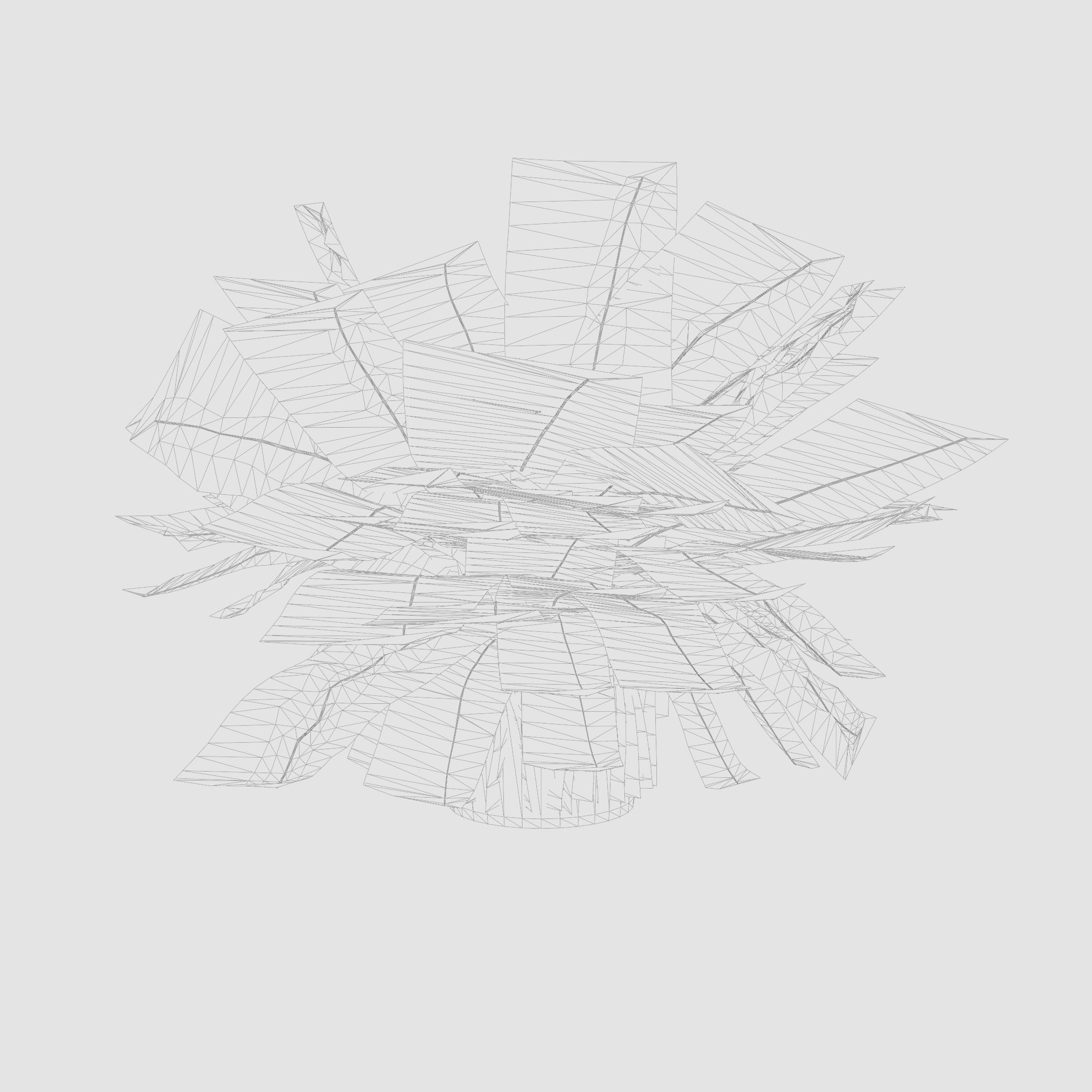 Green Lady Nephrolepis Houseplant 3D Model Low-poly 3D model_4