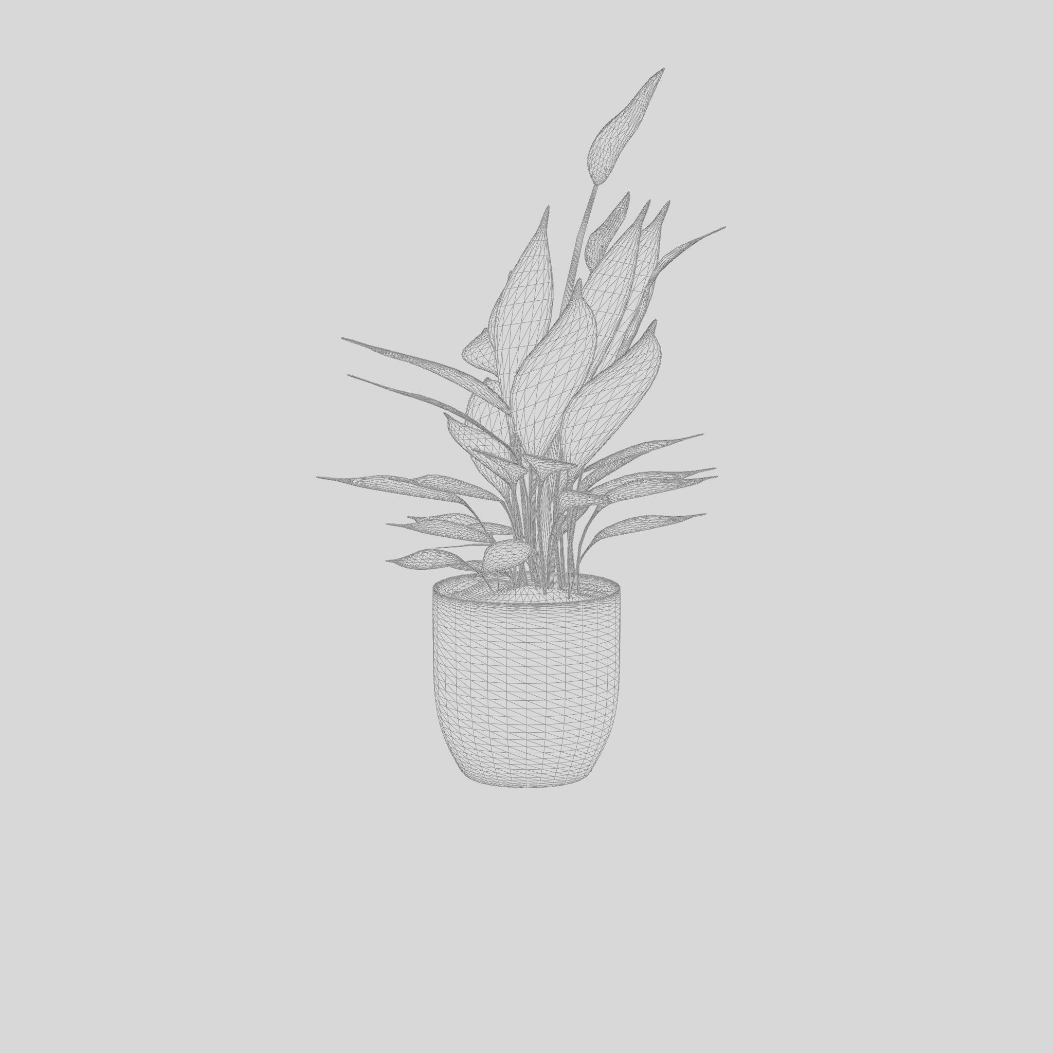 Peace Lily Houseplant 3D Model Low-poly 3D model_6