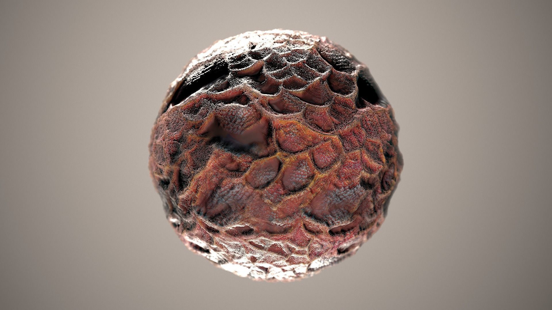10 Materials Skin Dragon Seamless PBR Volume 4 Texture_4