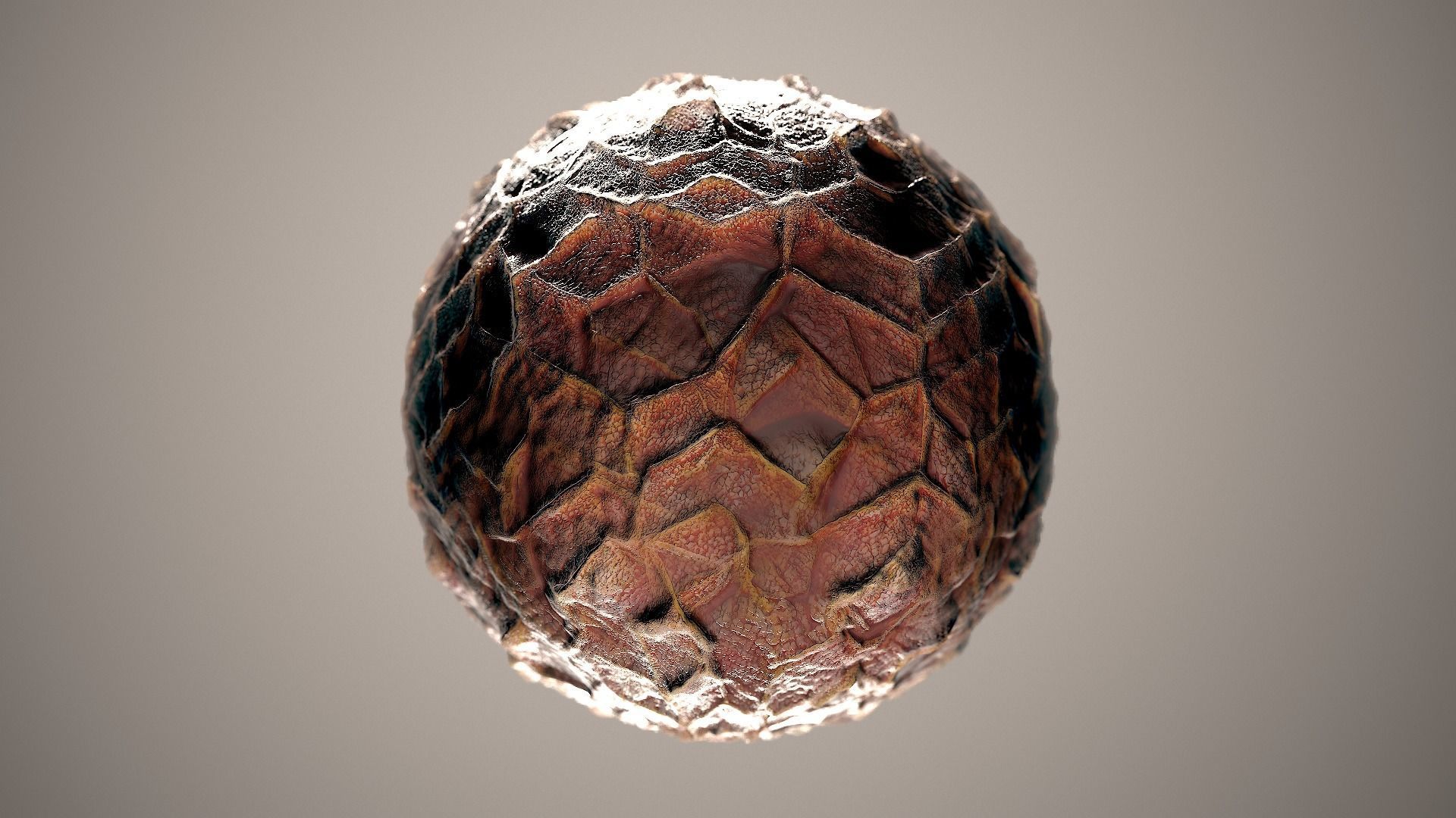 10 Materials Skin Dragon Seamless PBR Volume 4 Texture_2