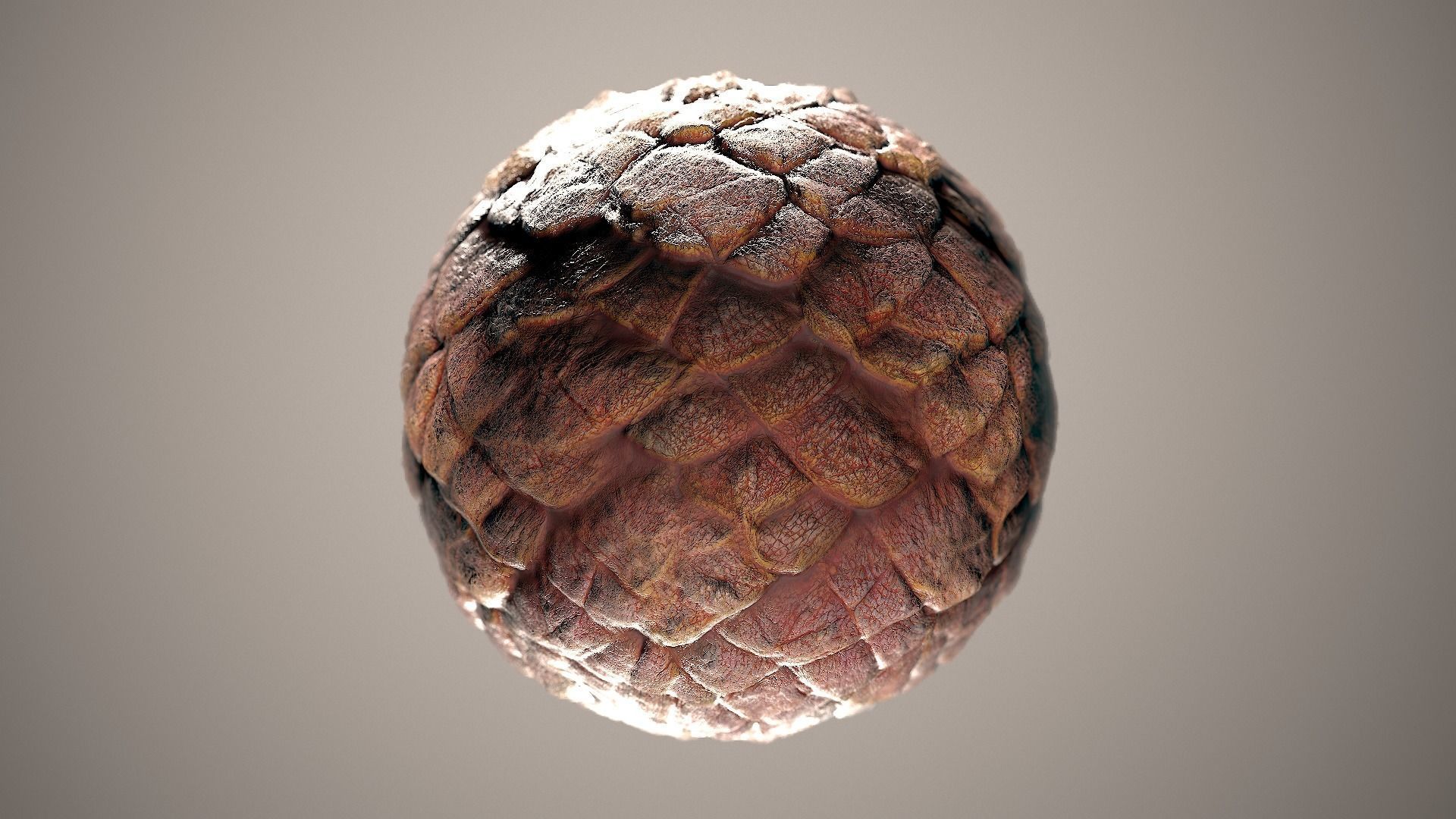 10 Materials Skin Dragon Seamless PBR Volume 5 Texture_1