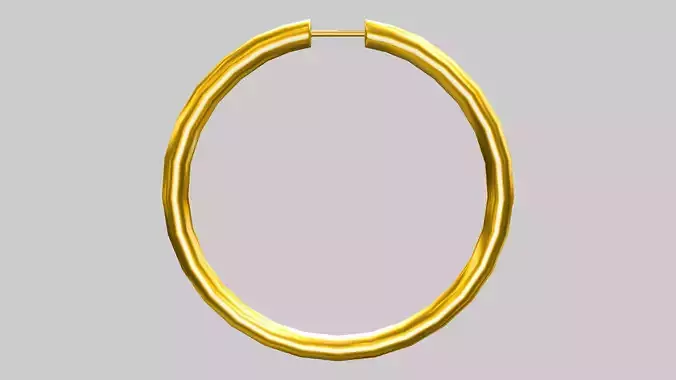 Large Hoops Earrings