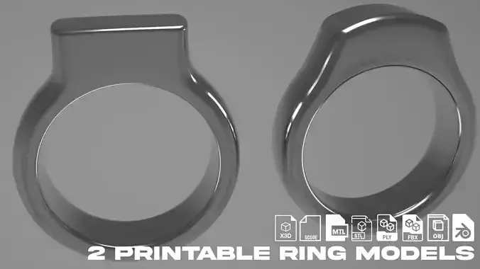 2 Ring Models