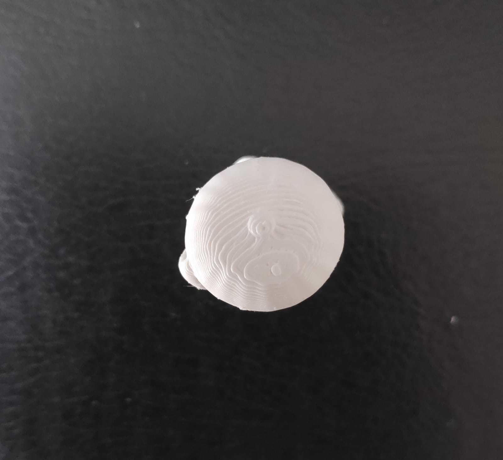 Duck Wearing Hat 3D print model_11