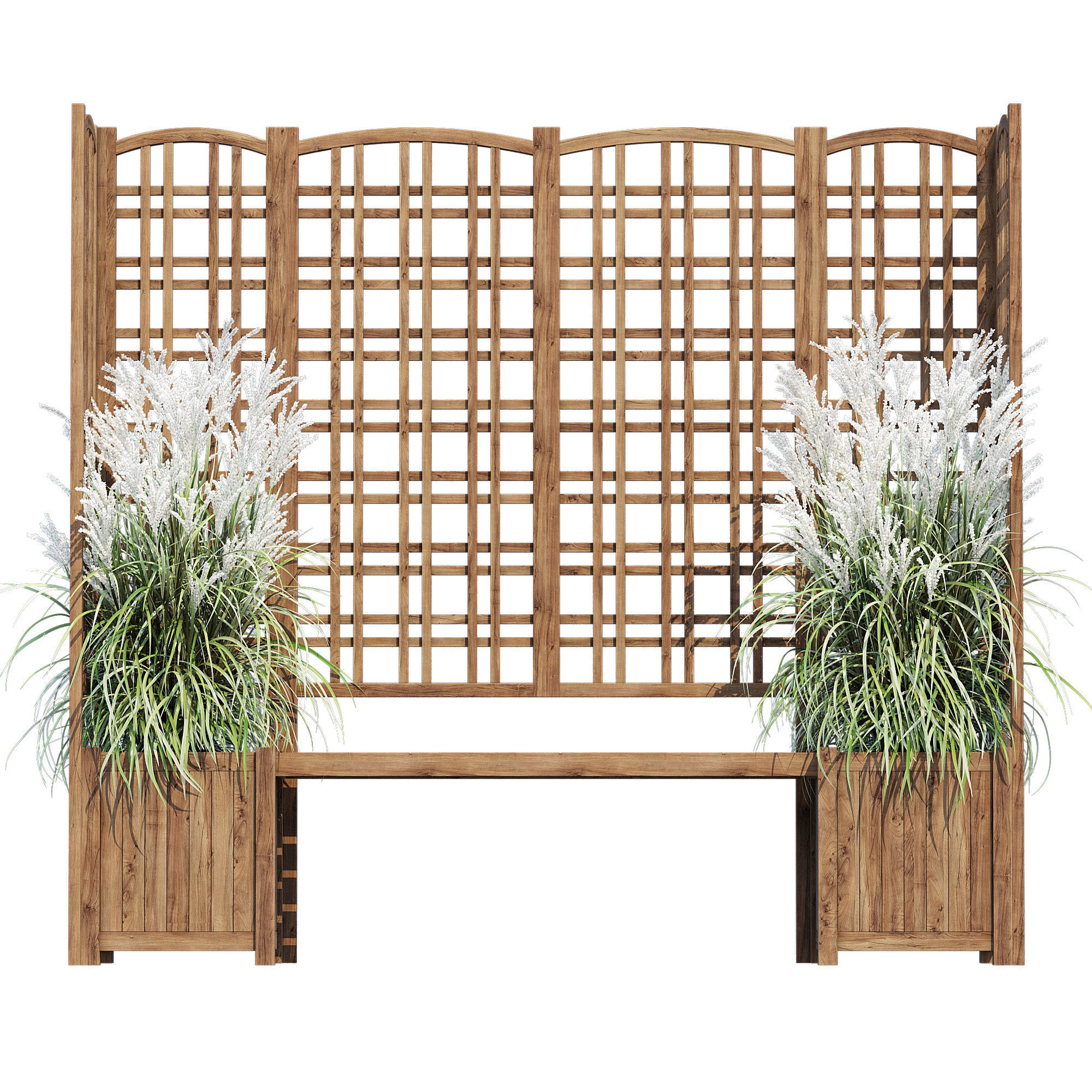 Eucalyptus grass 3D model_1