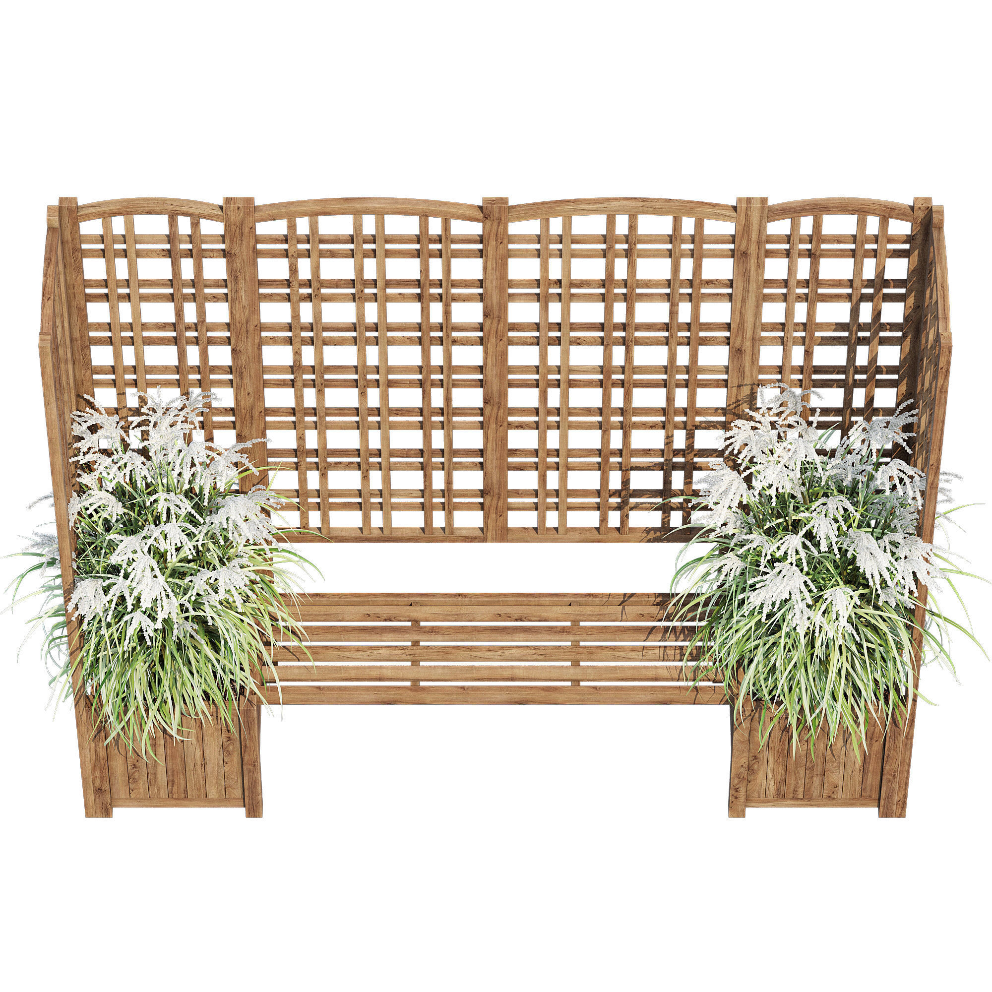 Eucalyptus grass 3D model_3