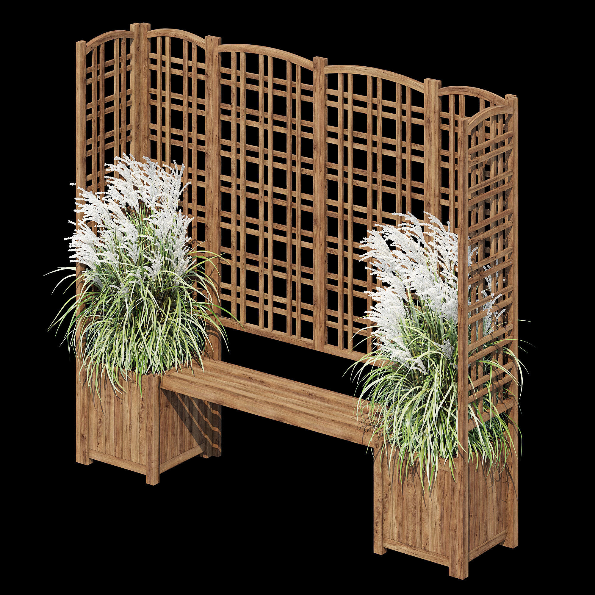 Eucalyptus grass 3D model_9