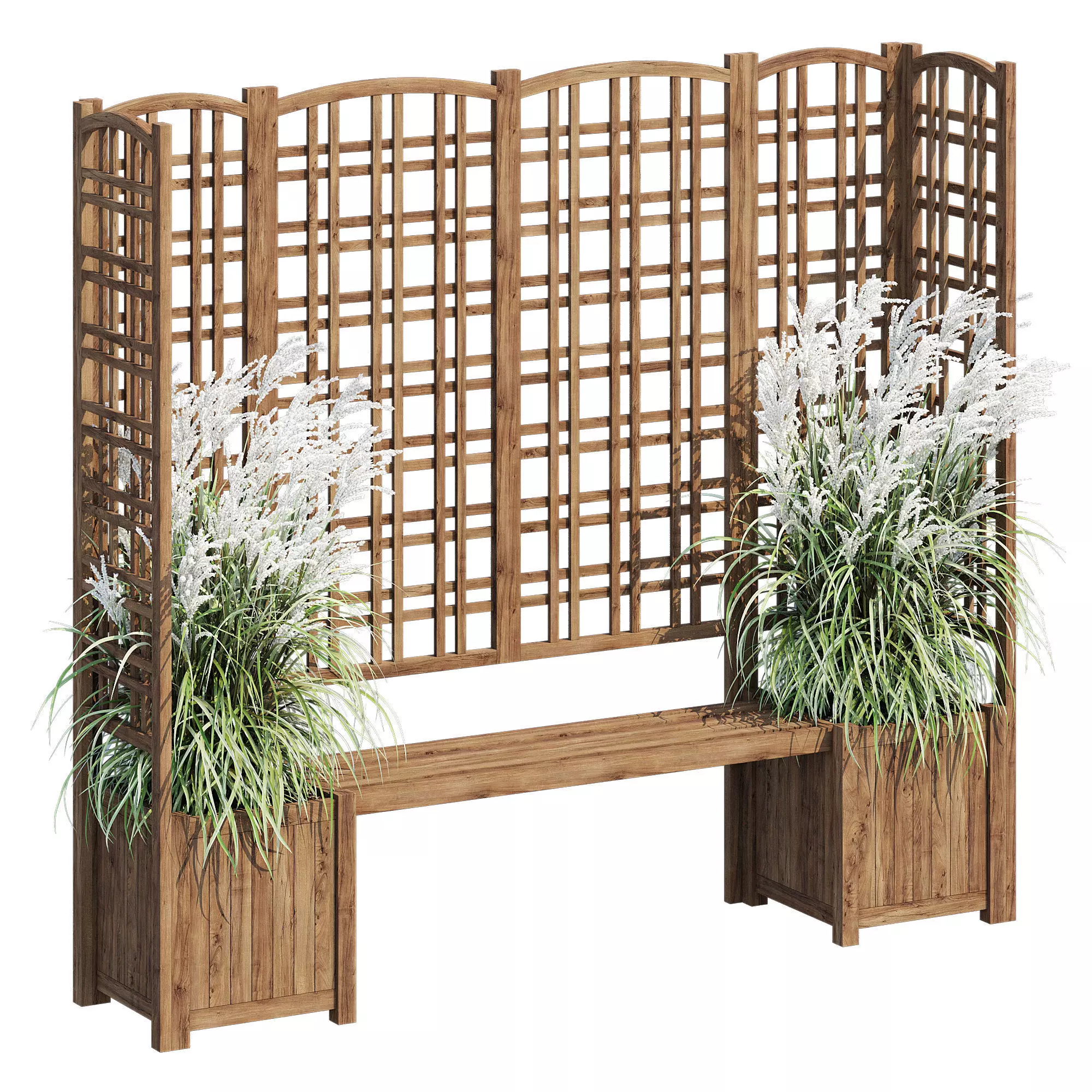 Eucalyptus grass 3D model_0