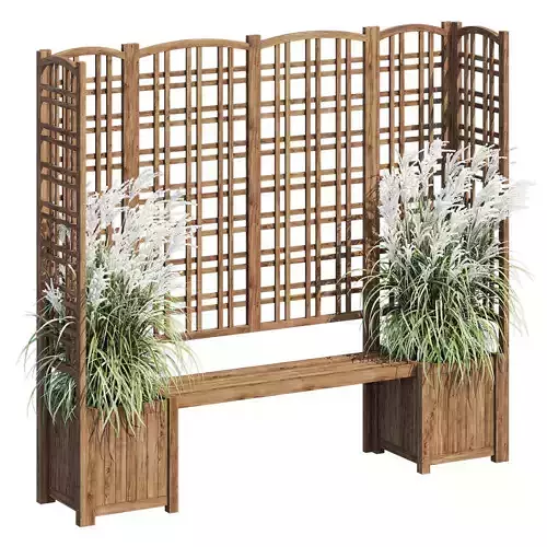 Eucalyptus grass 3D model