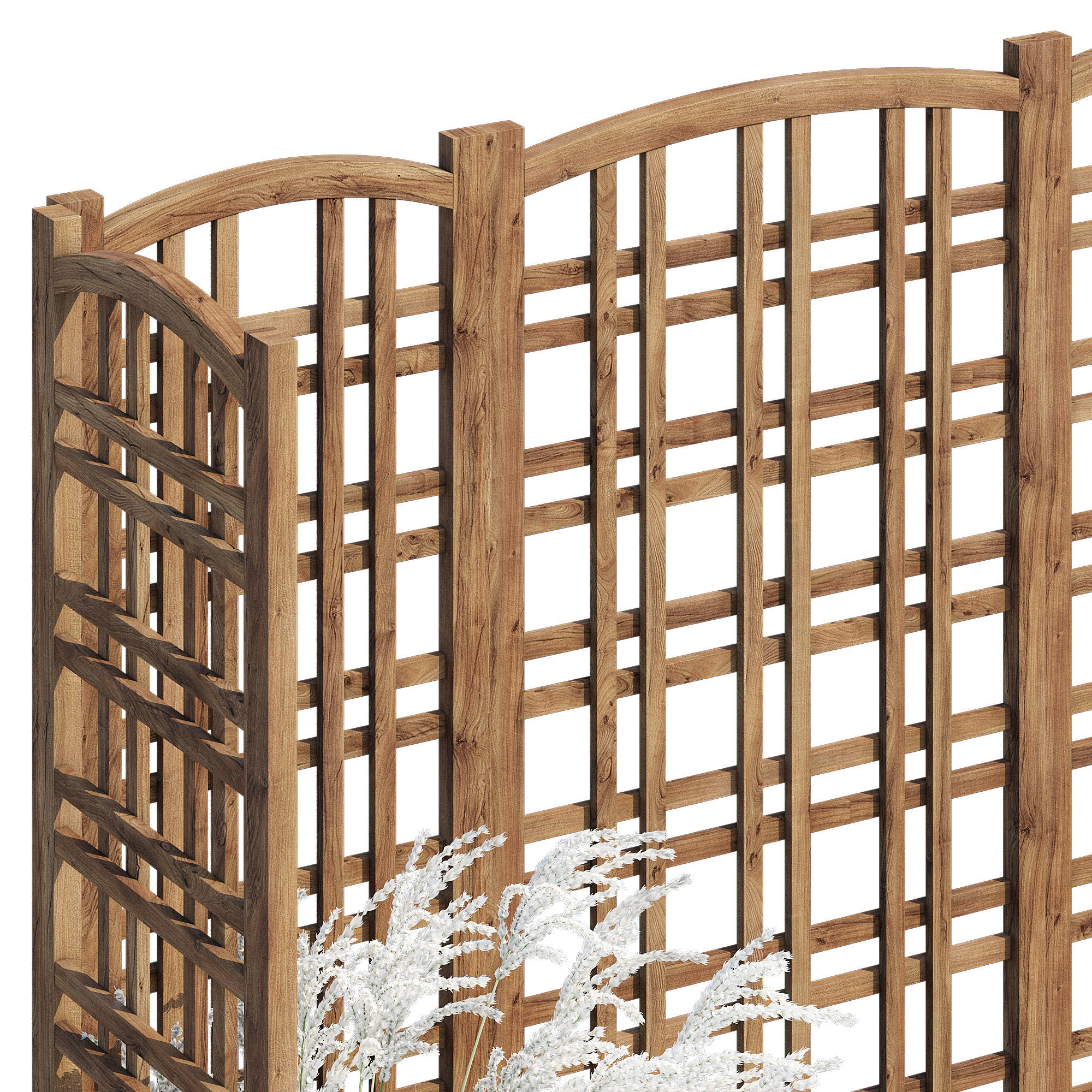 Eucalyptus grass 3D model_4