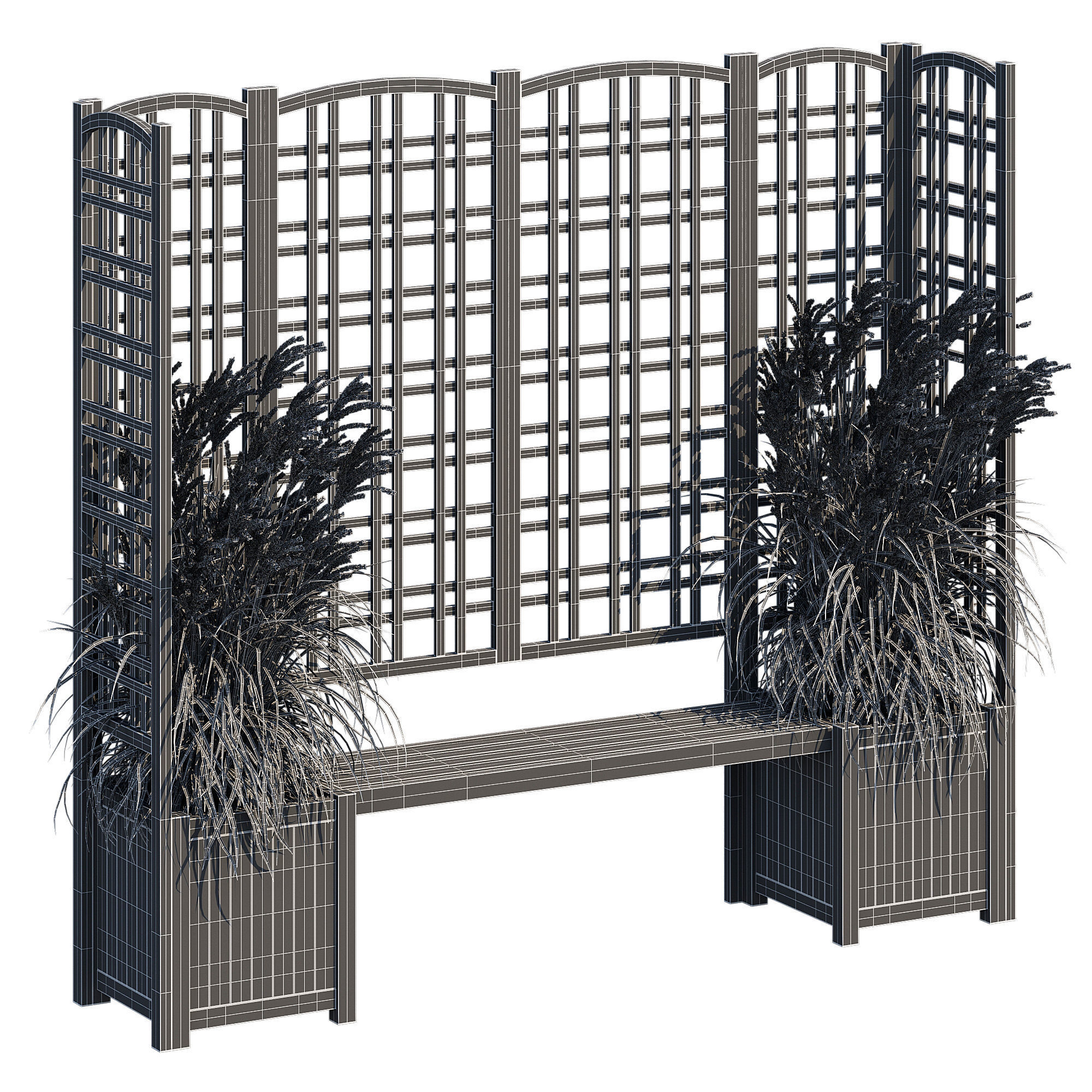 Eucalyptus grass 3D model_6