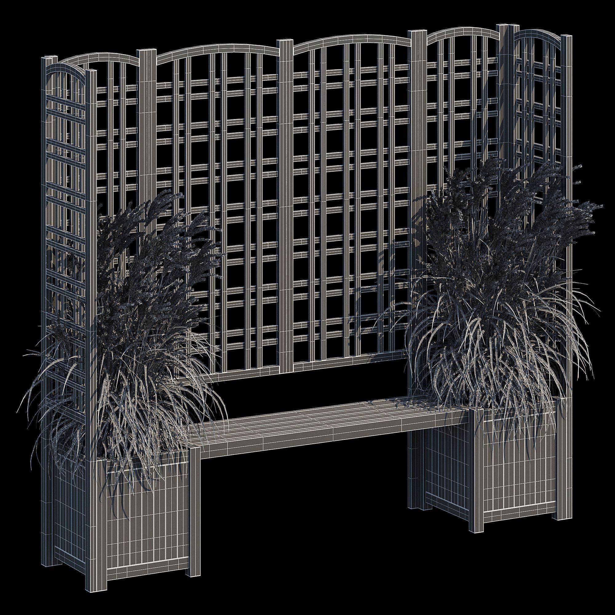 Eucalyptus grass 3D model_13