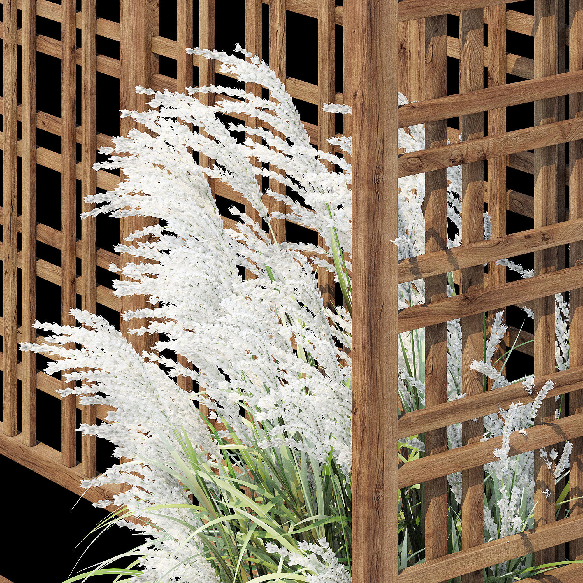 Eucalyptus grass 3D model_12