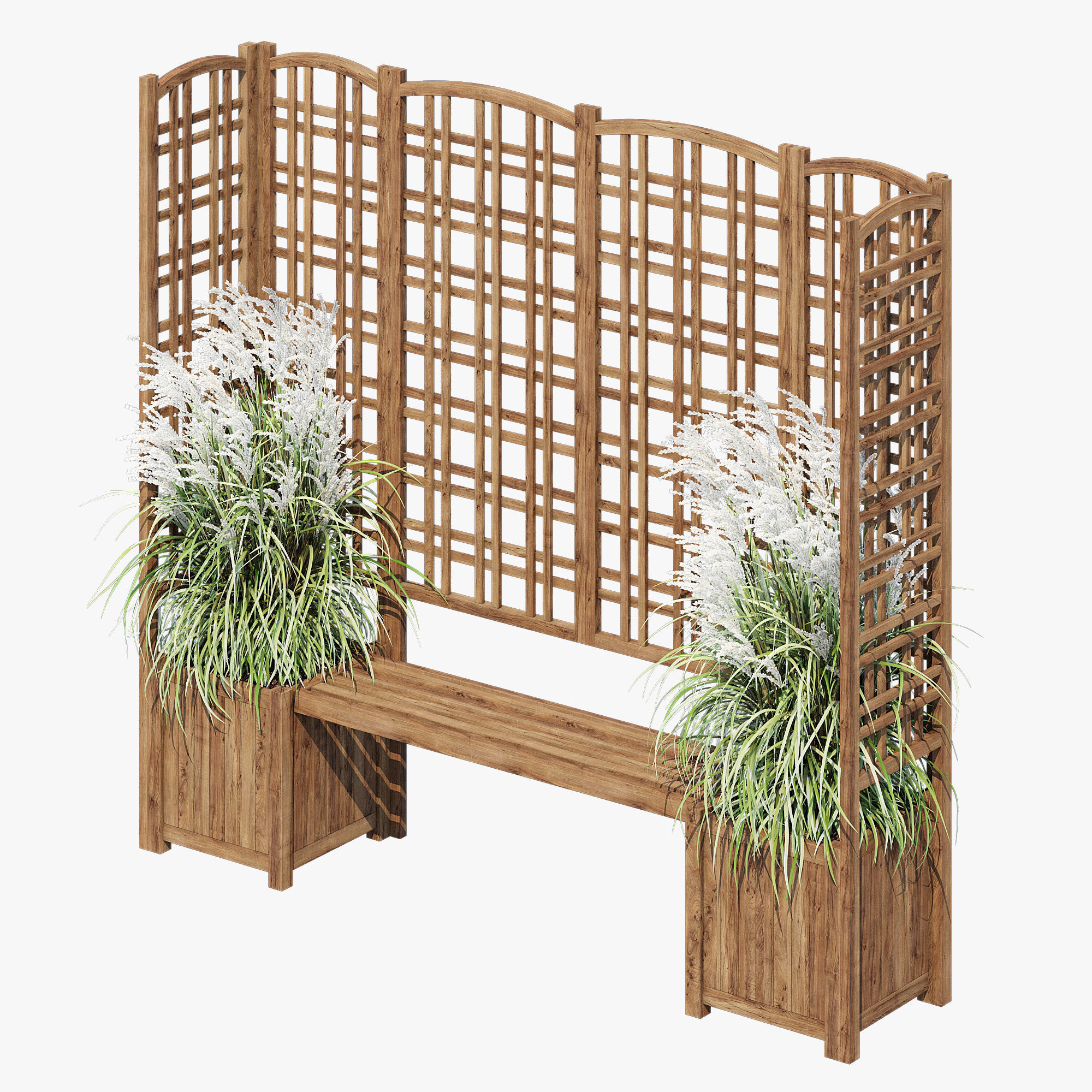 Eucalyptus grass 3D model_2