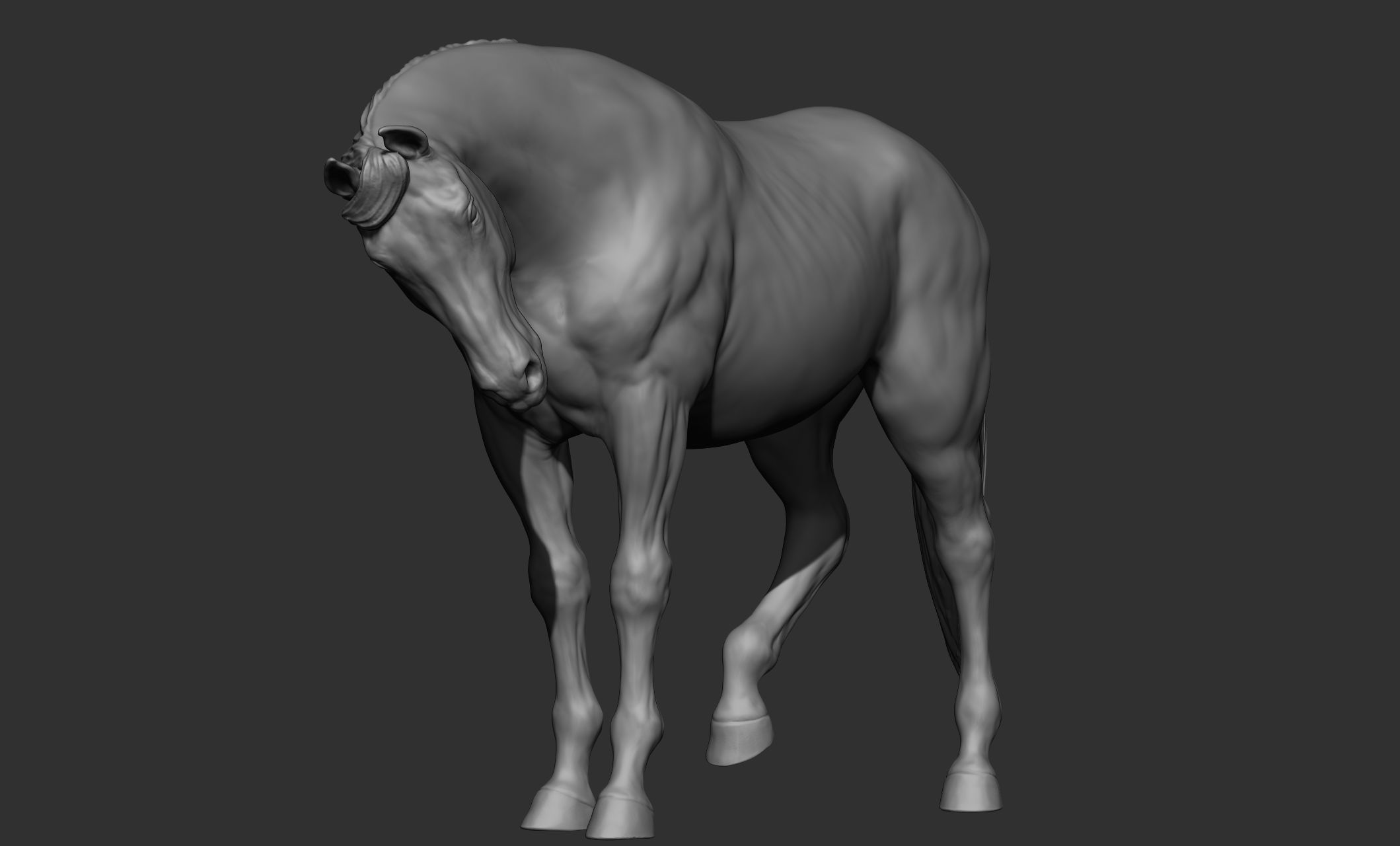 18 horse poses 3D model_70