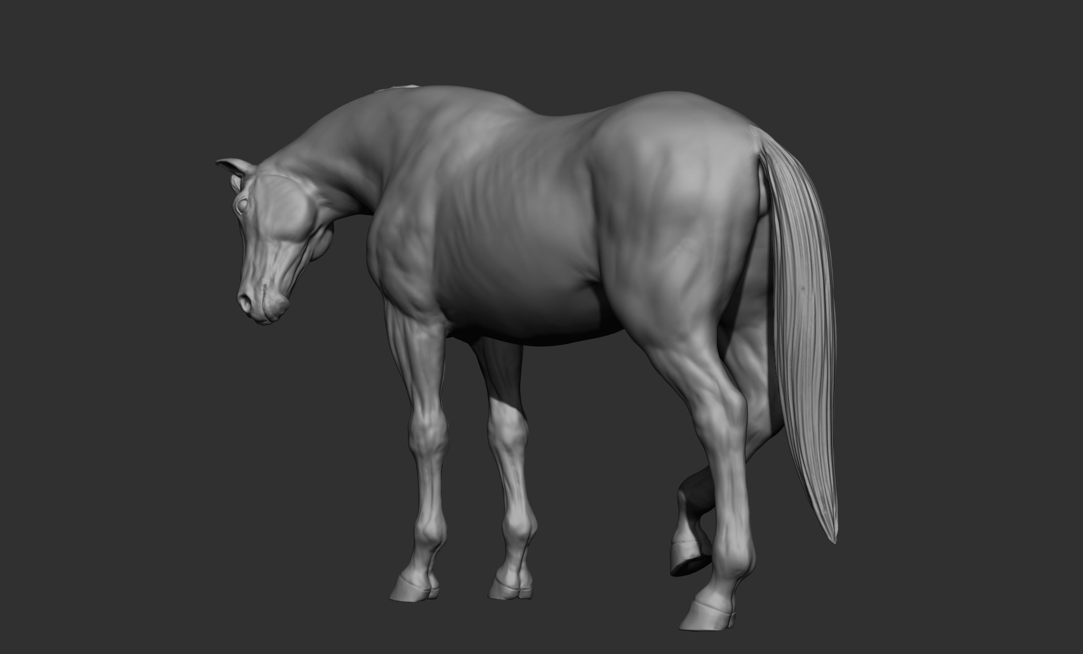 18 horse poses 3D model_72
